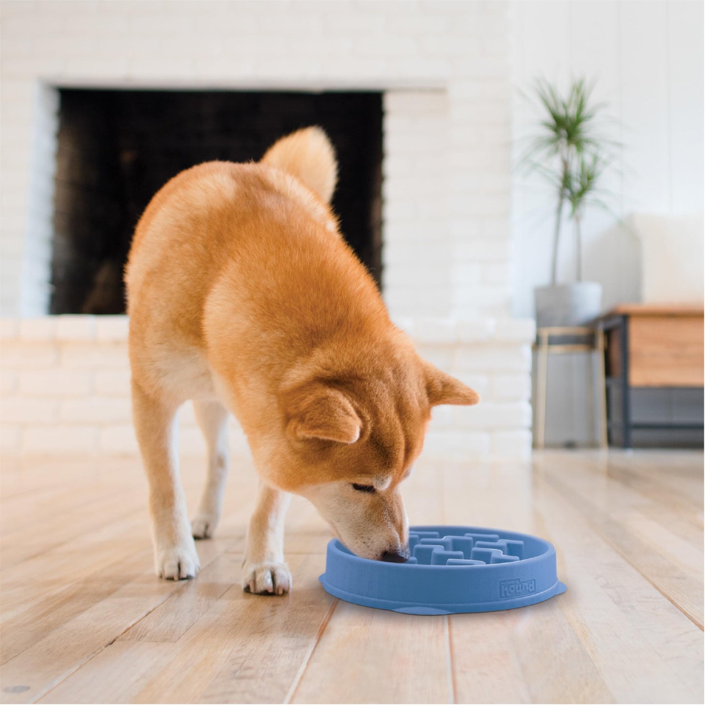 Plato Antideslizante Outward Hound Azul Medio para Perros