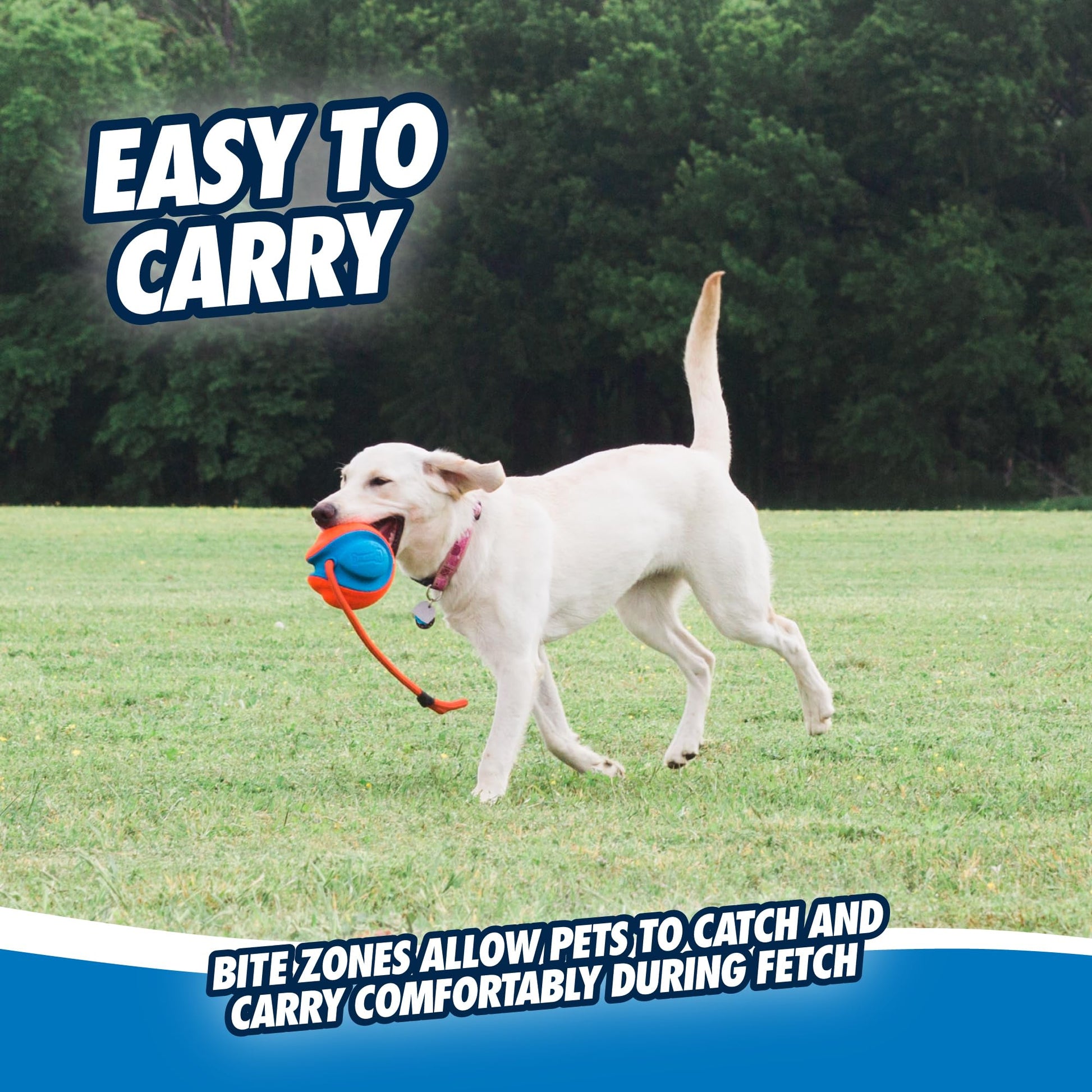 Chuckit! Rope Fetch Dog Toy