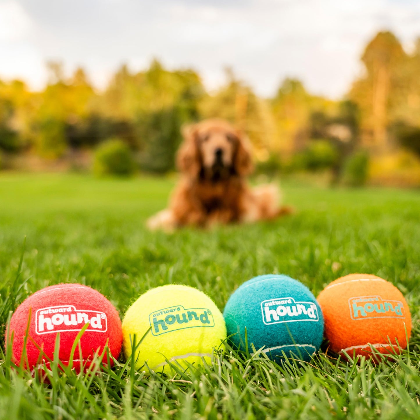 Juguete para Perro Outward Hound Squeaker Ballz Fetch Grande Pack de 4