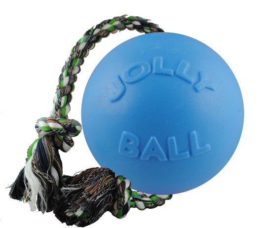 Jolly Pets Romp-n-Roll - Juguete para Perro de Cuerda y Bola, 20,3 cm, Grande, arándano