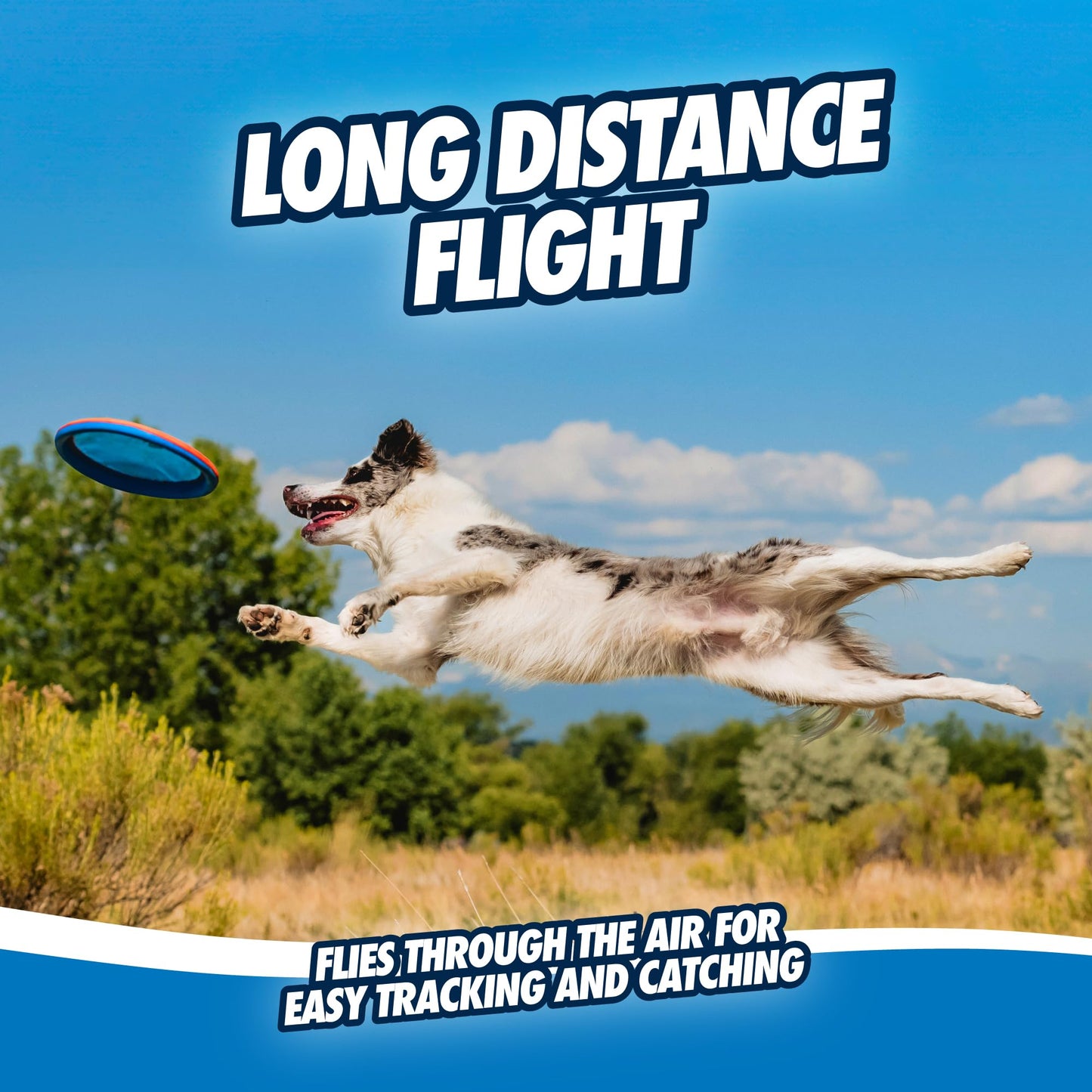 Chuckit! Paraflight Flyer - Juguete de Frisbee para Perro Flota en el Agua; Suave con los Dientes y Las encías del Perro; Brilla en la Oscuridad; Grande