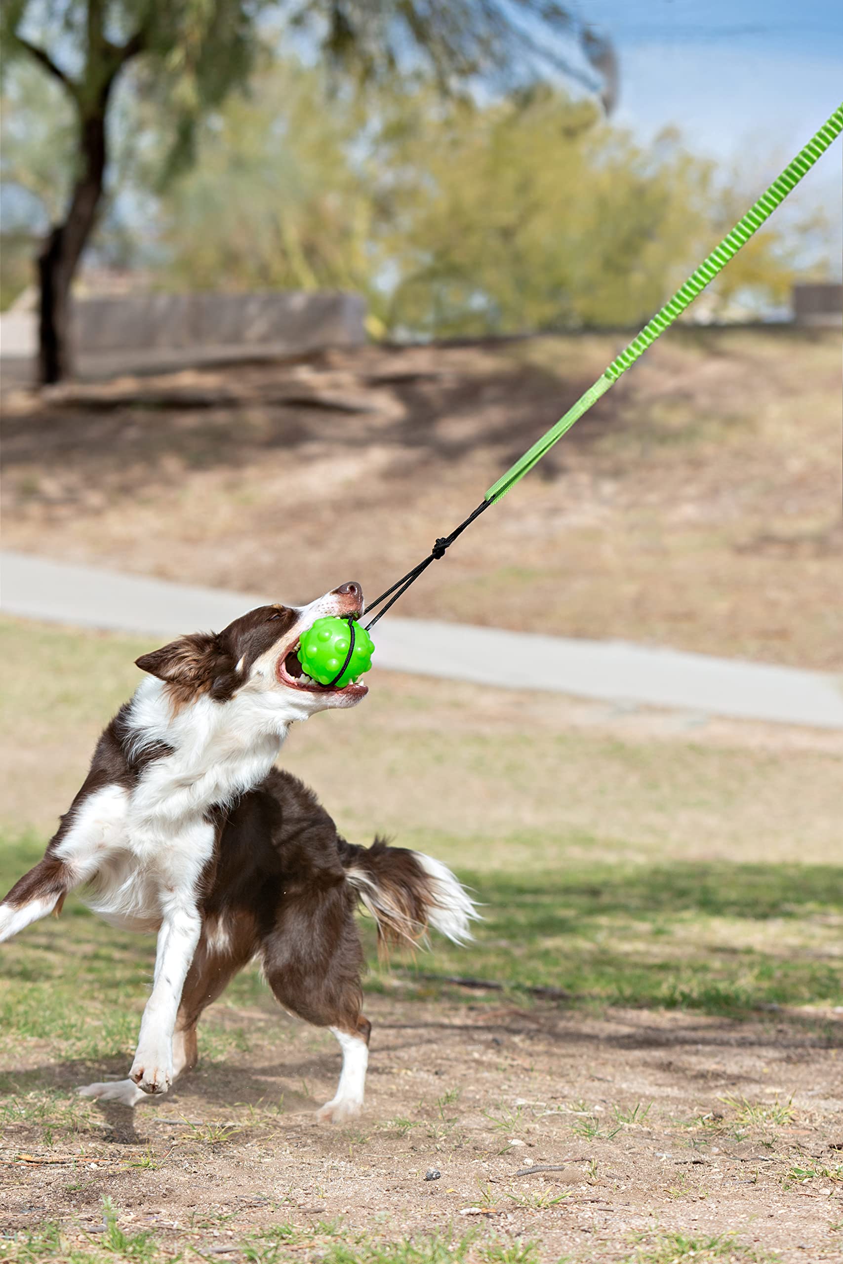 Juguete para Perros Jolly Pets Verde Interactivo de Jalar