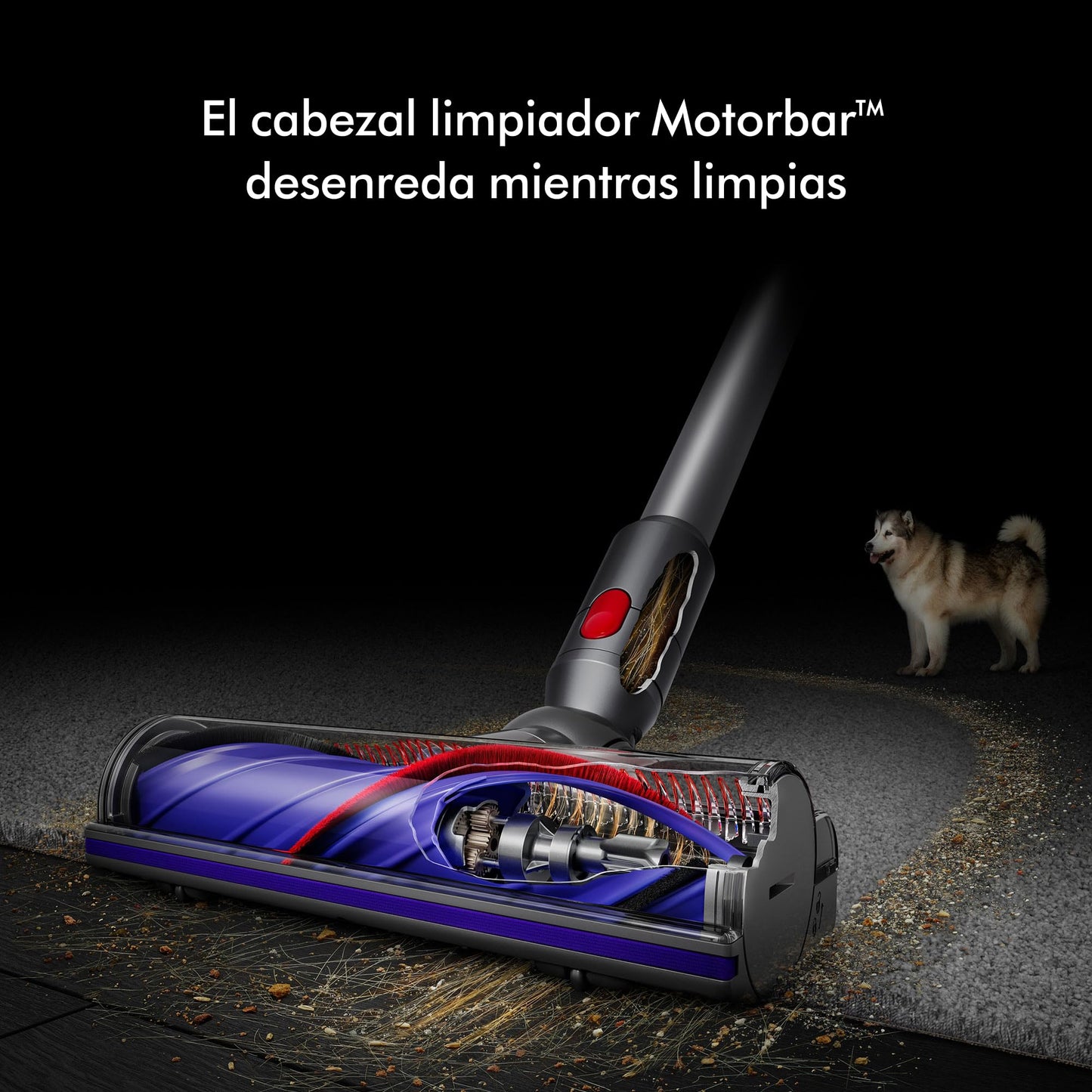 Aspiradora Dyson V8 Absolute Plata