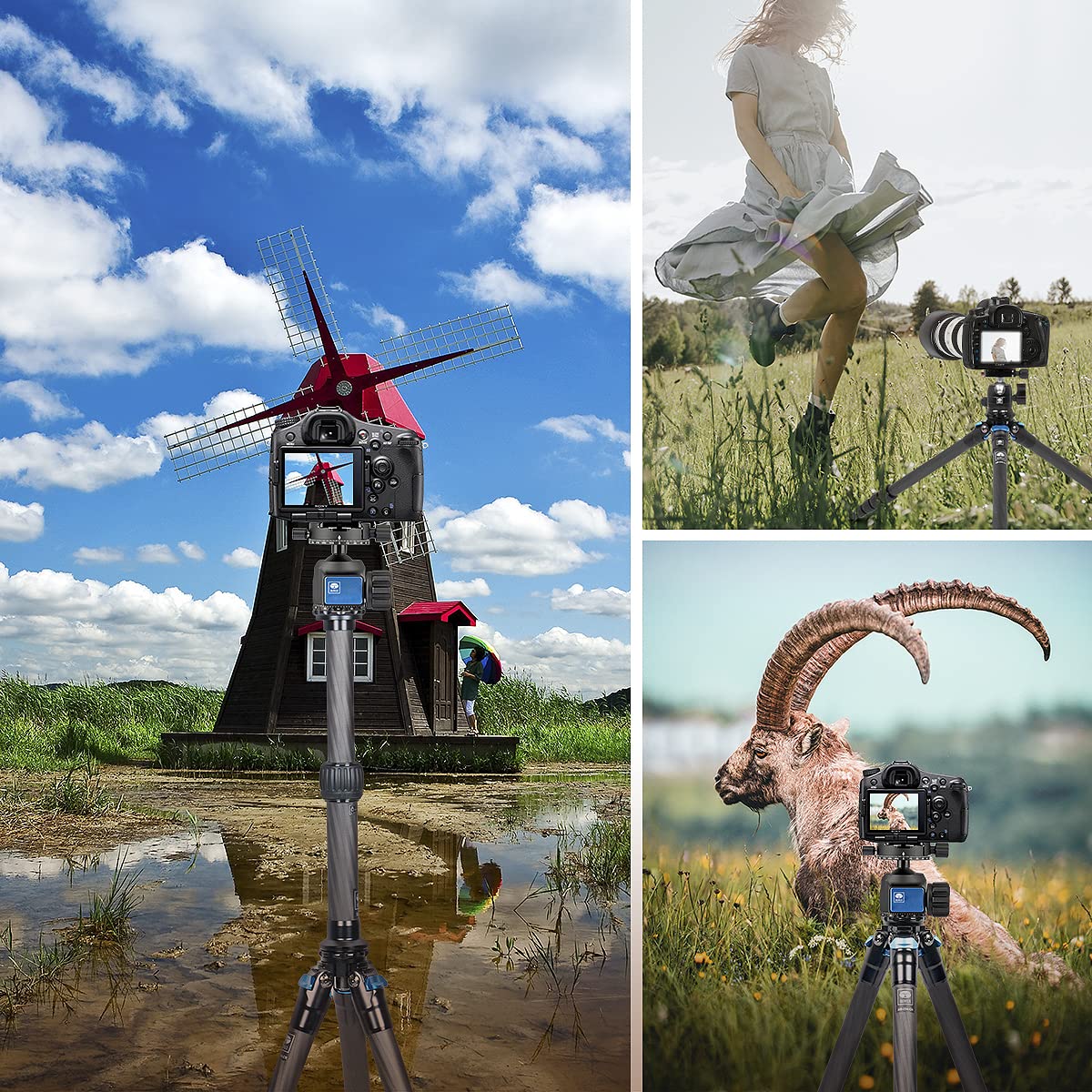 Trípode SIRUI Fibra de Carbono con Columna Central Dos Secciones 59.8” Carga Máxima 15kg