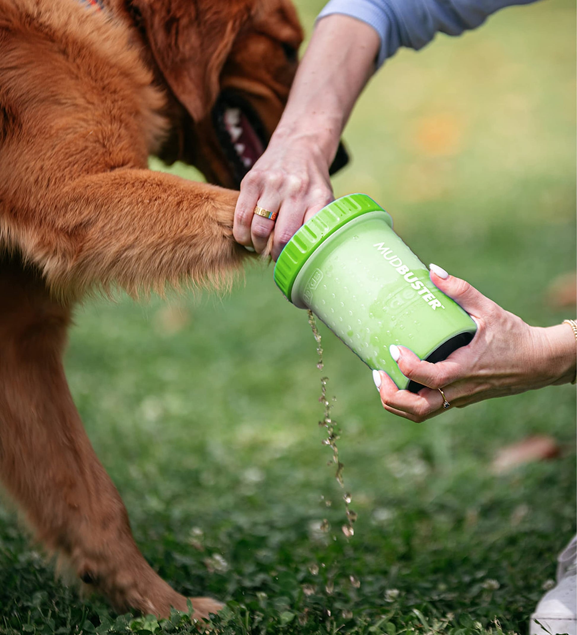 Dexas MudBuster Limpiador portátil para patas de perro, Verde, Mediano