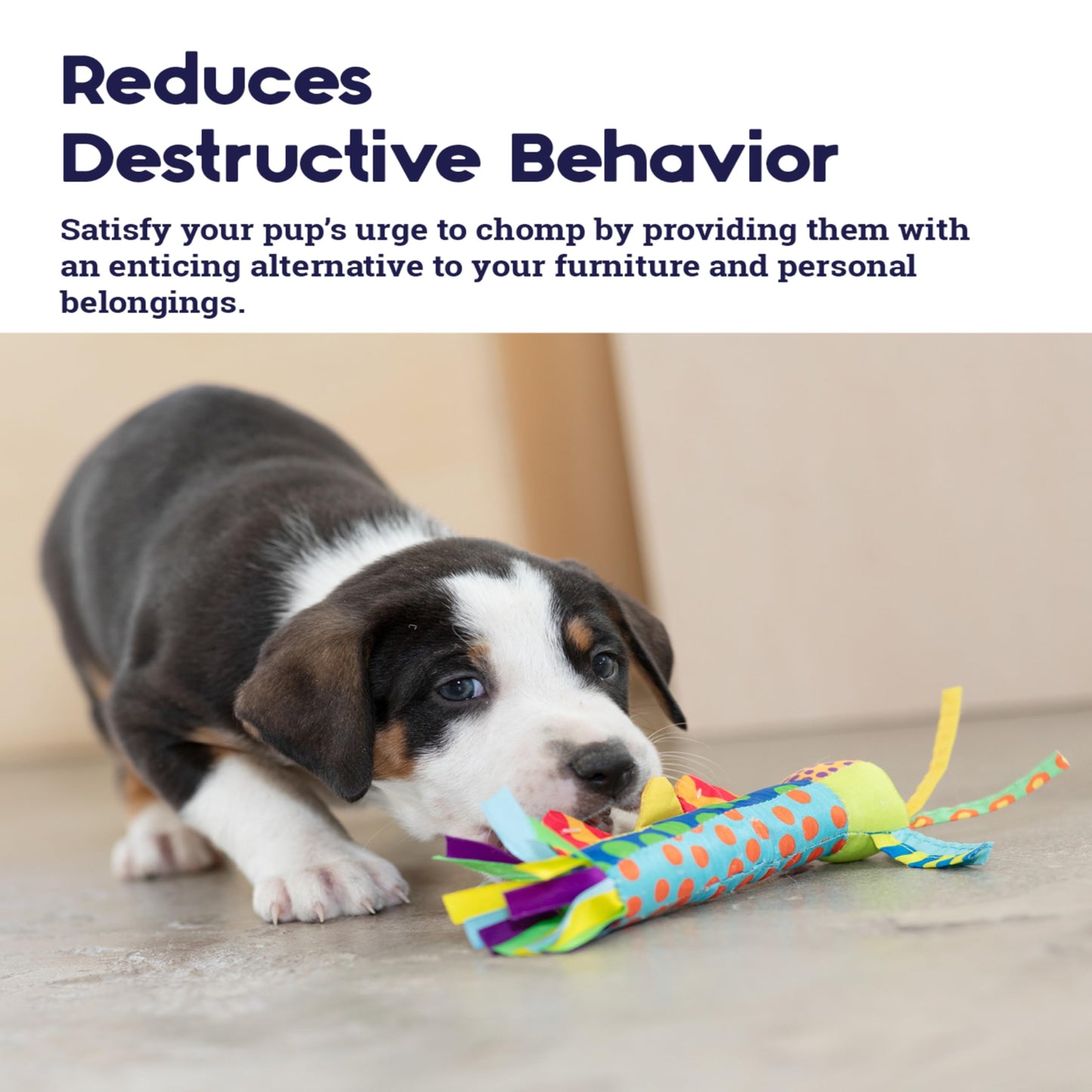 Juguete para Perros Pet Stages Azul Cool Teething Stick