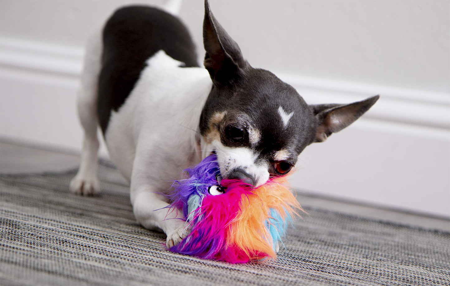 goDog Just for Me Furballz Juguete de Peluche chirriante para Perro, tecnología de protección para Masticar, Arco Iris Fresco, Mini