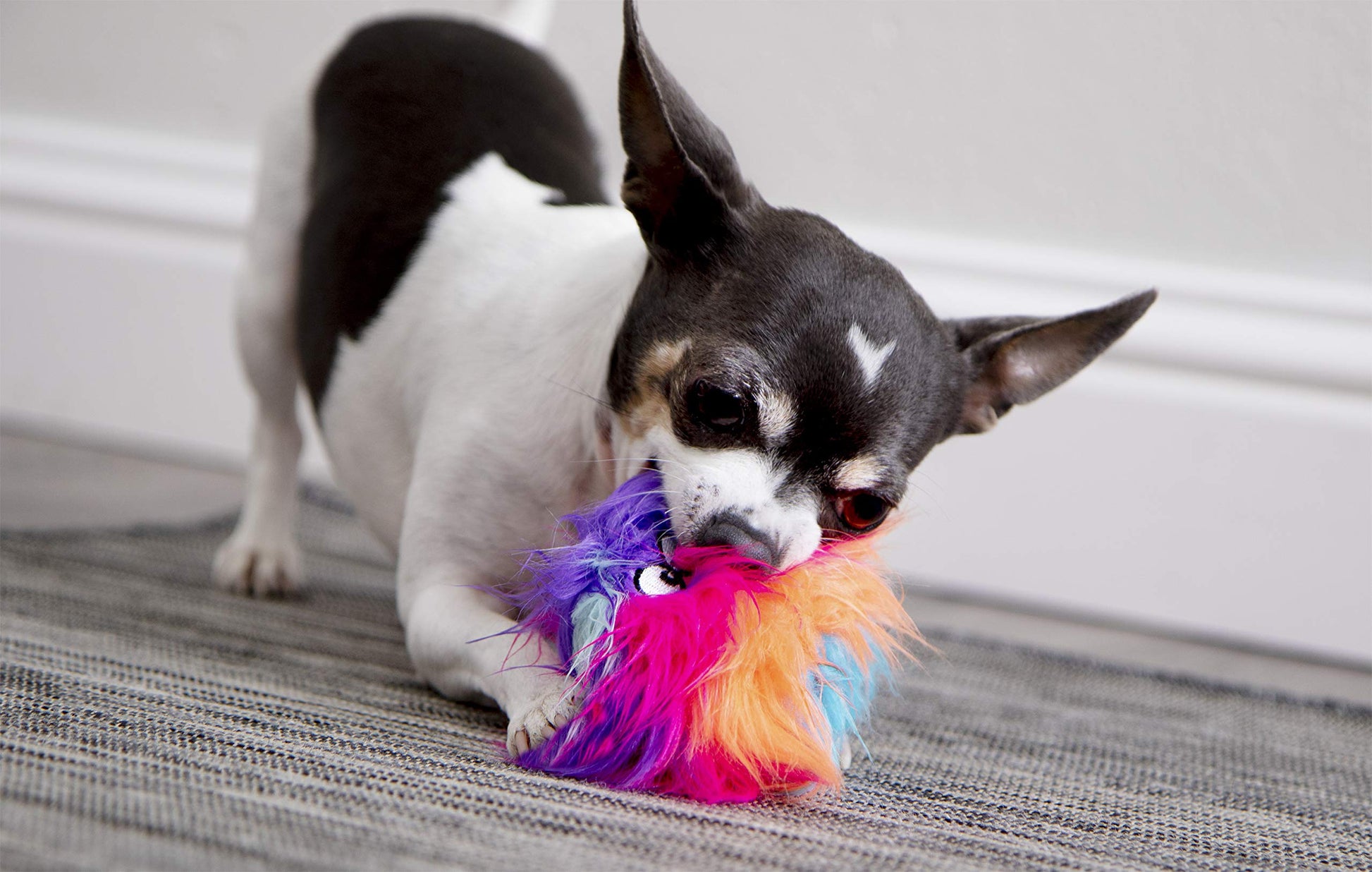 goDog Just for Me Furballz Juguete de Peluche chirriante para Perro, tecnología de protección para Masticar, Arco Iris Fresco, Mini