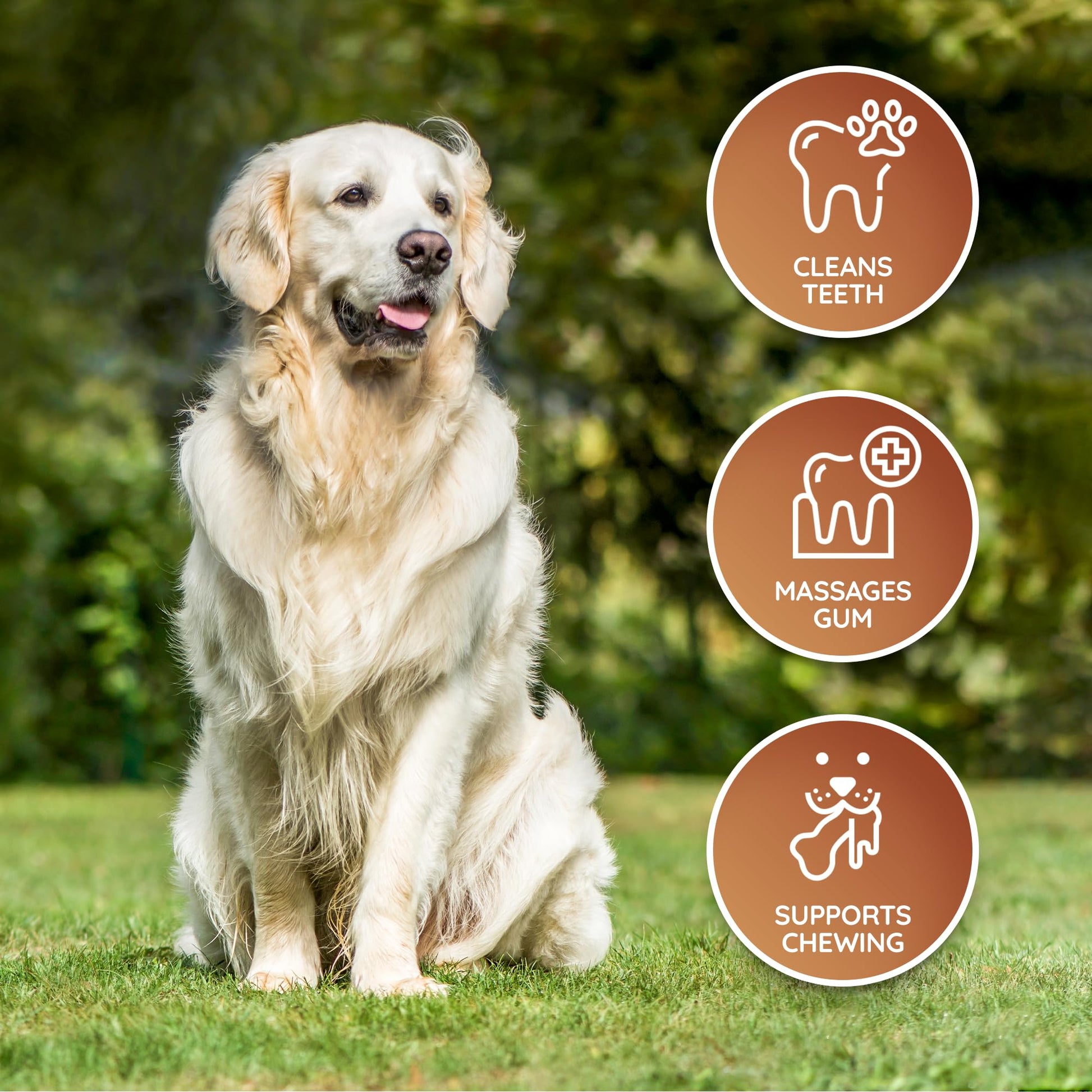 Huesos de Cuero Wildfang Huesos de Cuidado Dental para Perros