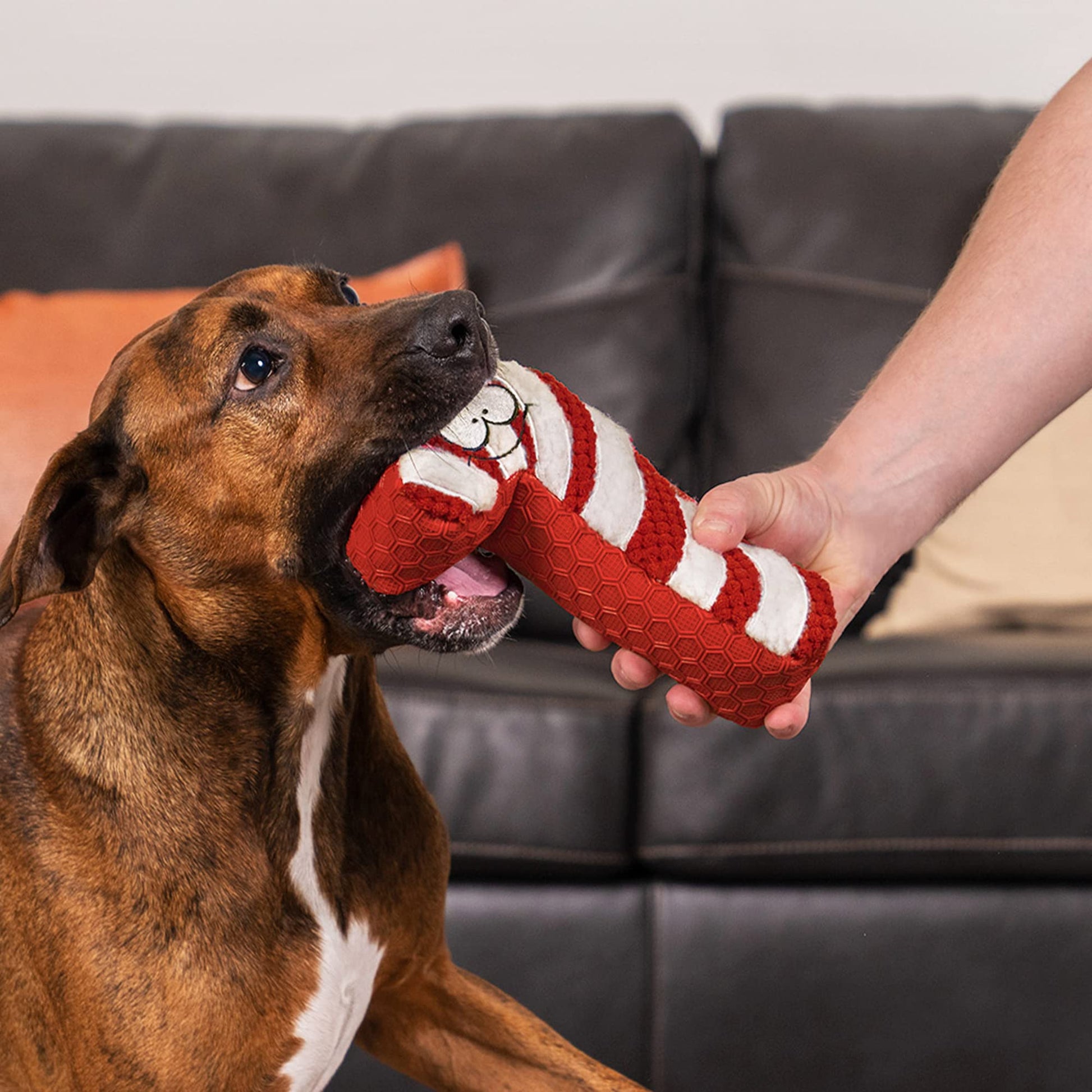 goDog Holiday Collection TPE Peluche de bastón de Caramelo chirriante para Perro, tecnología de protección masticable, Rojo/Blanco, Talla única