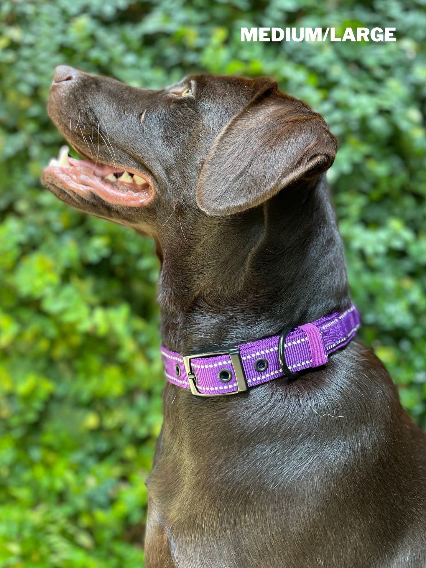 Tuff Pupper Collar de perro resistente con asa | Collar de nailon balístico resistente | Collar reflectante acolchado con herrajes de acero inoxidable ajustables | Tamaño conveniente para todas las razas