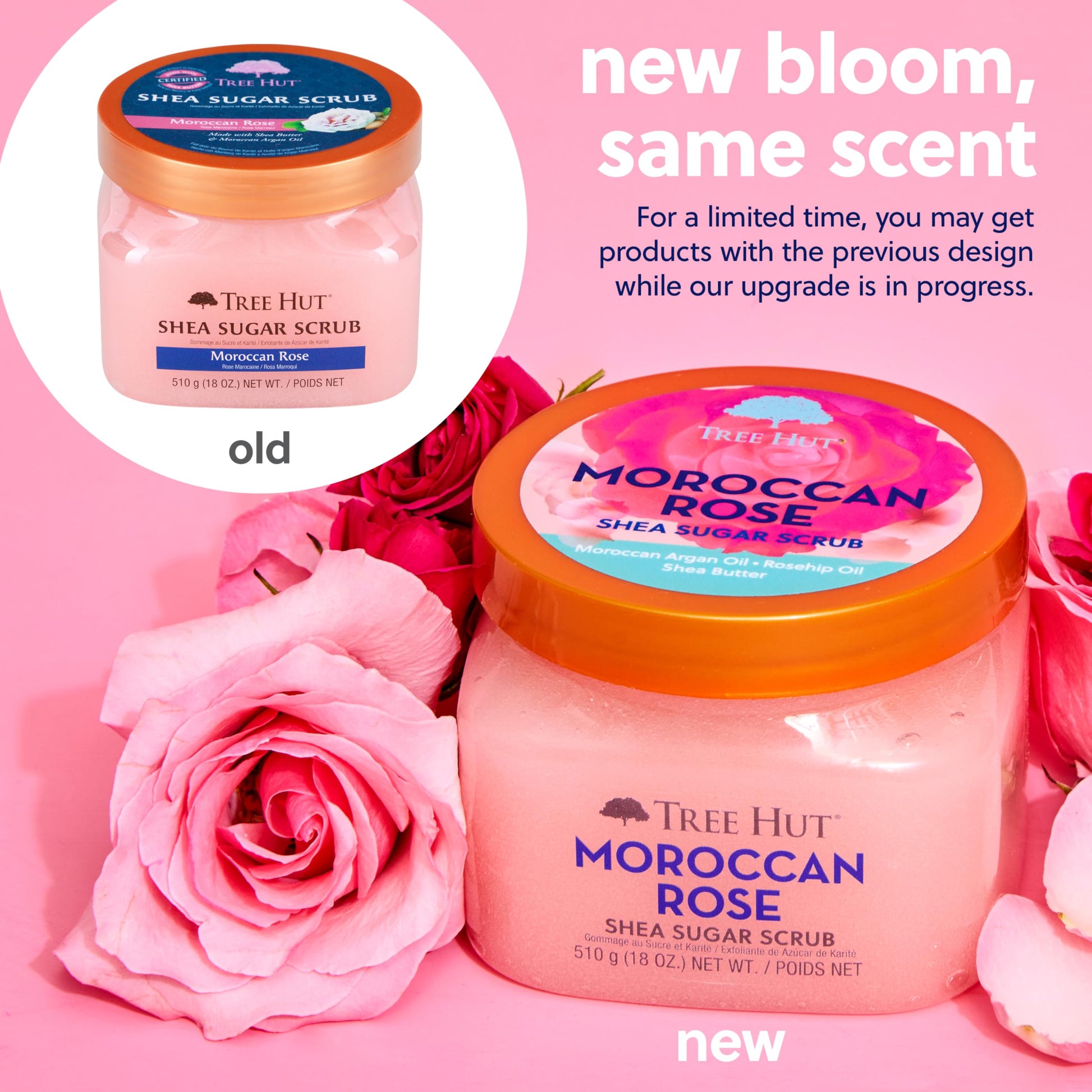 Exfoliante de Azúcar de Karité Tree Hut Rosa Marroquí Ultra Hidratante y Nutritivo para Cuidado Corporal Esencial