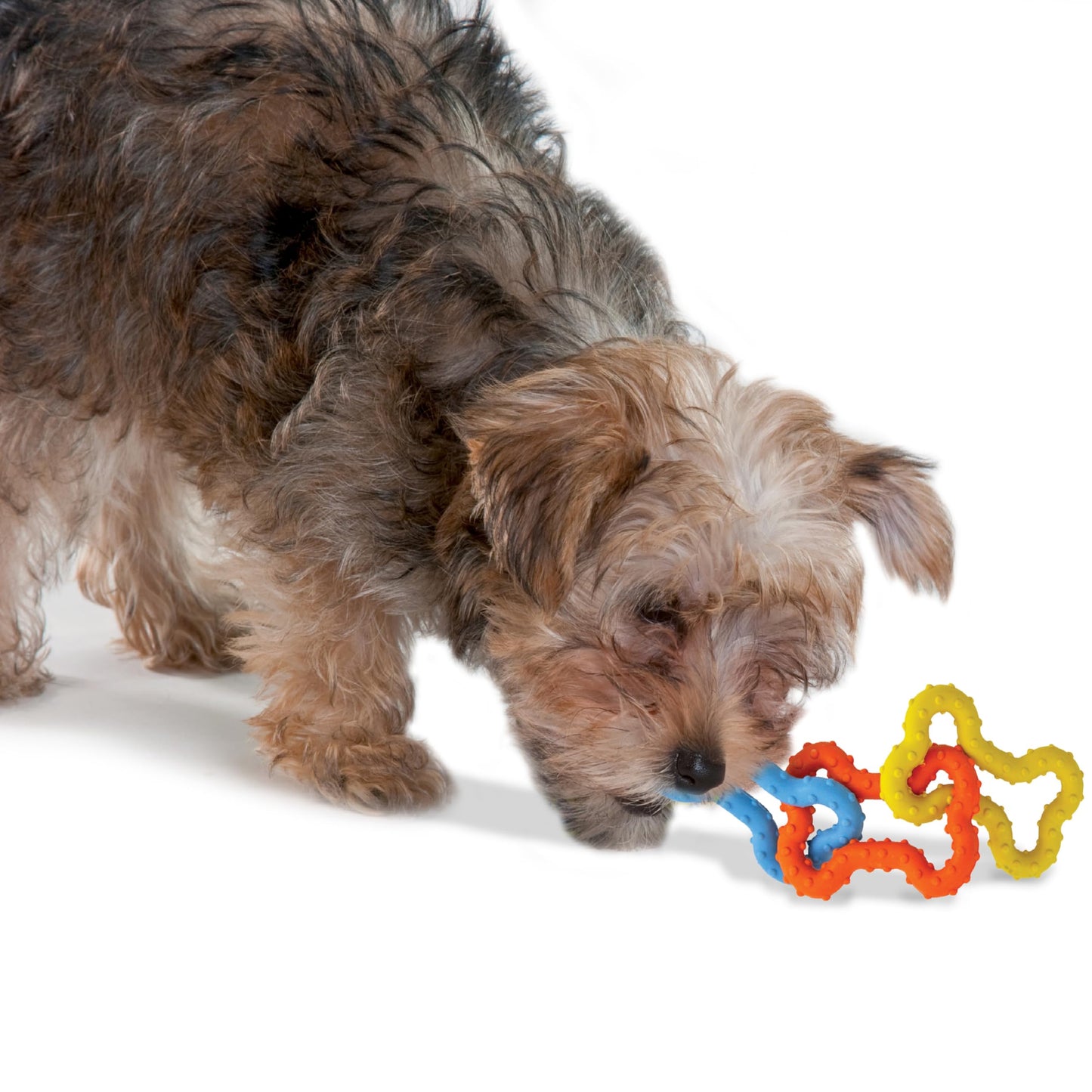 Juguete de Goma para Tirar y Morder Petstages Verde para Perros Pequeños