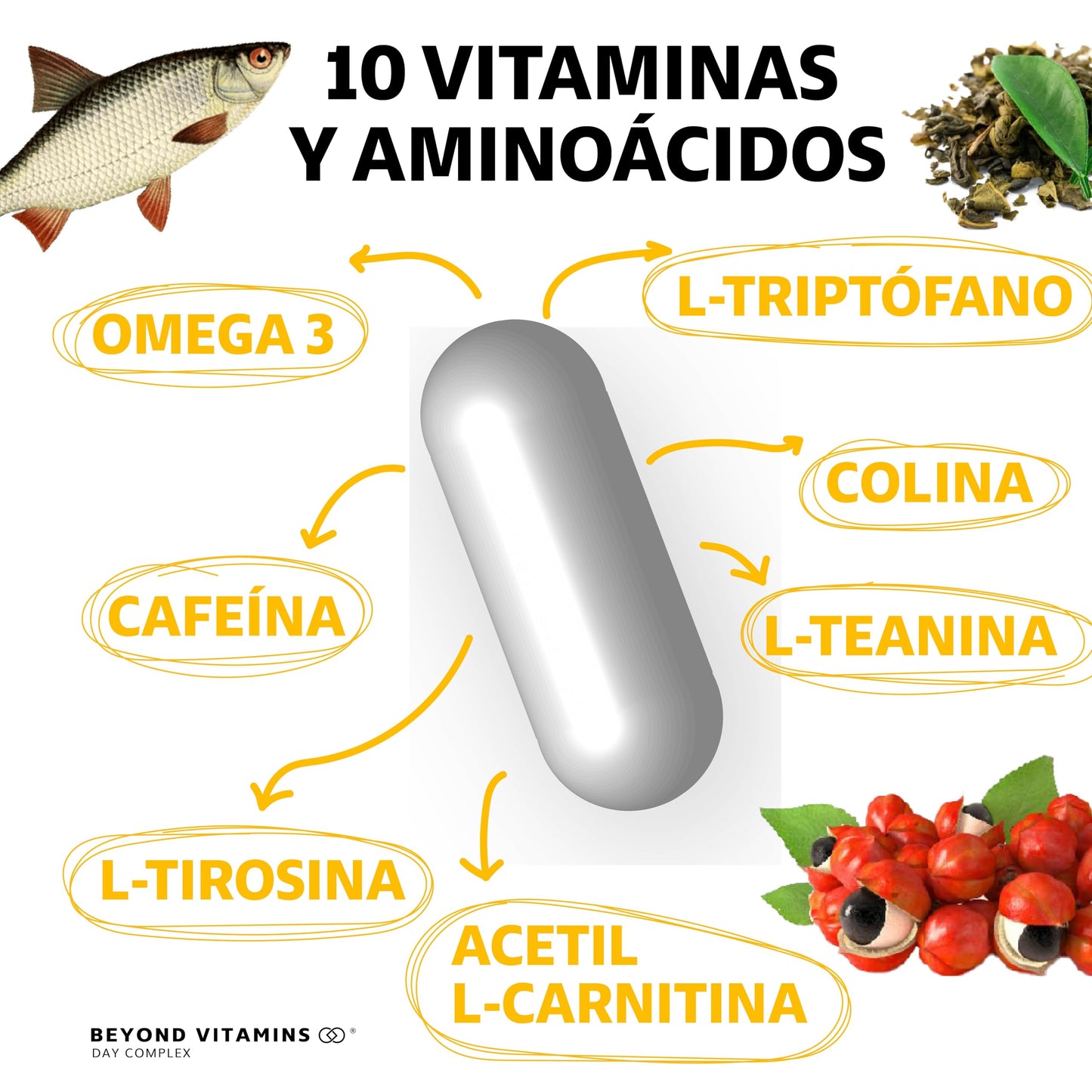 Suplemento Nootrópico Day Complex con Vitaminas y Minerales Sin Azúcar en Cápsulas