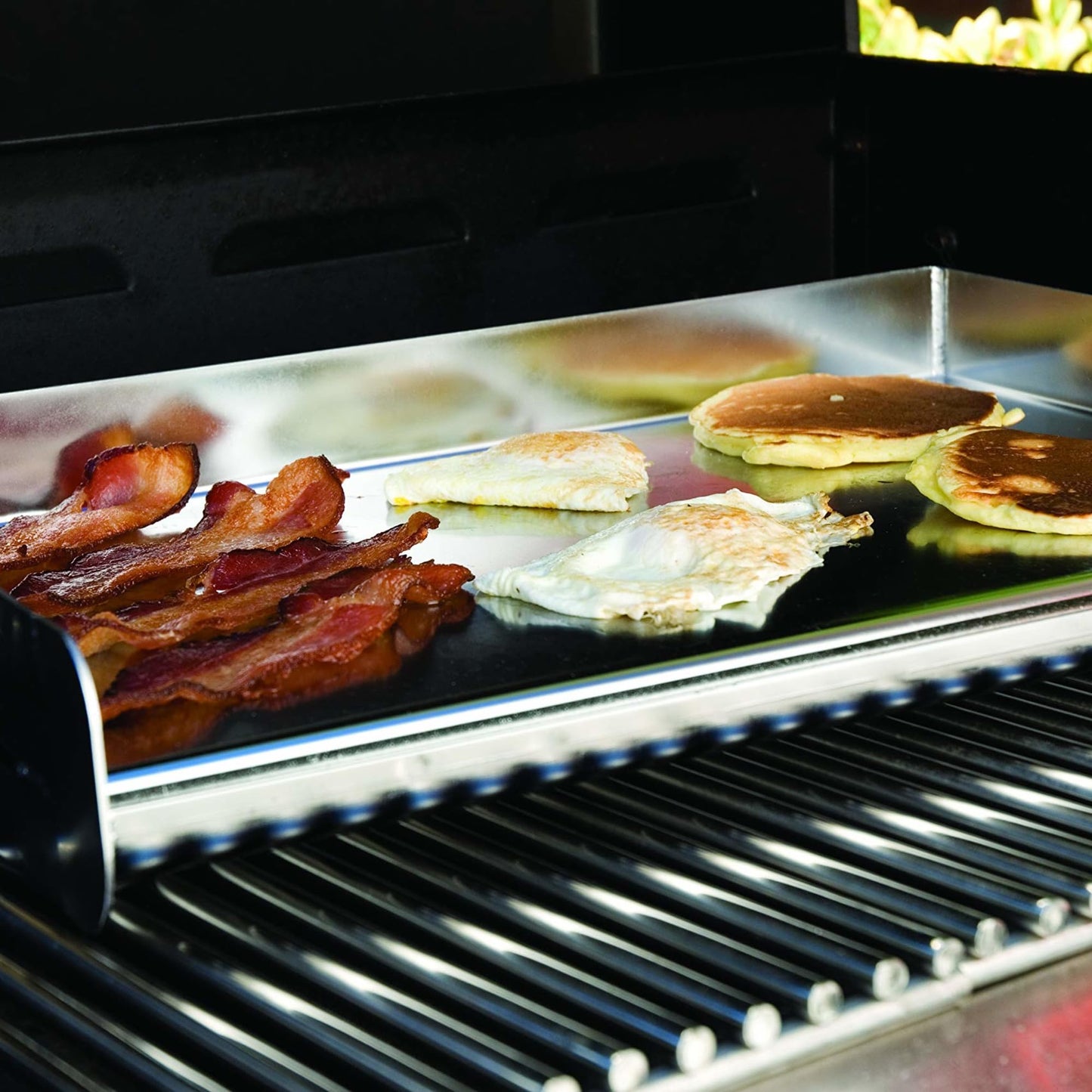 Charcoal Companion - Parrilla Profesional de Acero Inoxidable, Diseño Original, Acero Inoxidable