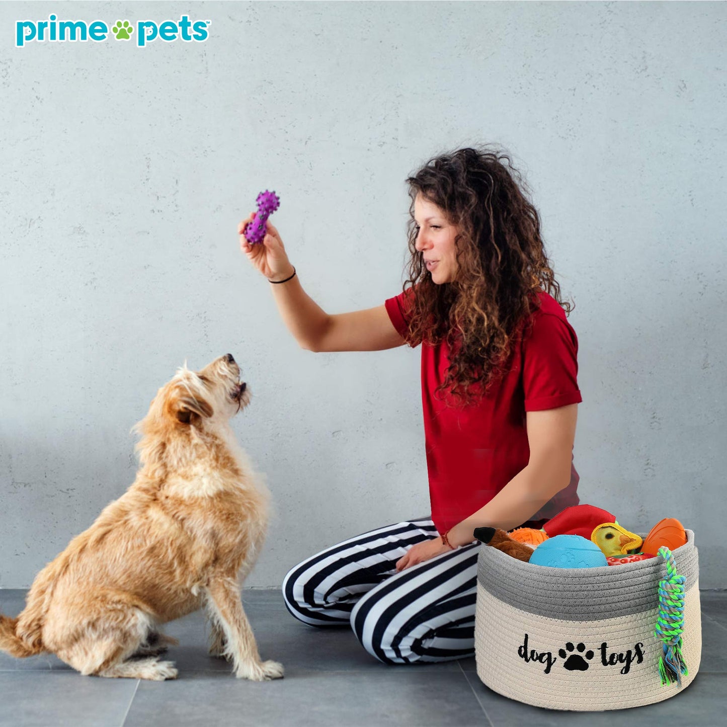 PrimePets - Cesta de juguetes de cuerda de algodón para perros, cesta pequeña con asas, contenedor de almacenamiento tela para perros, mascotas, 15 x 10 x 9 pulgadas, soporte para contenedores para