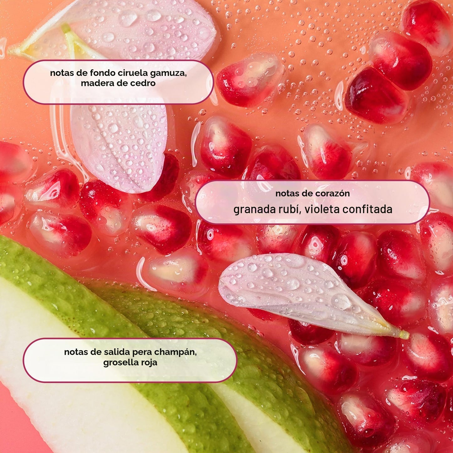 eos Shea Better - Gel de baño de cachemira, champán rosa, hidratante y nutritivo, fórmula de gel cremoso equilibrado de pH, libre de parabenos ni ftalatos, piel sensible, 16 onzas líquidas