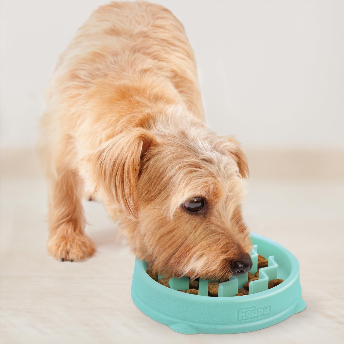 Comedero Lento Outward Hound Mint Mini para Perro Pequeño