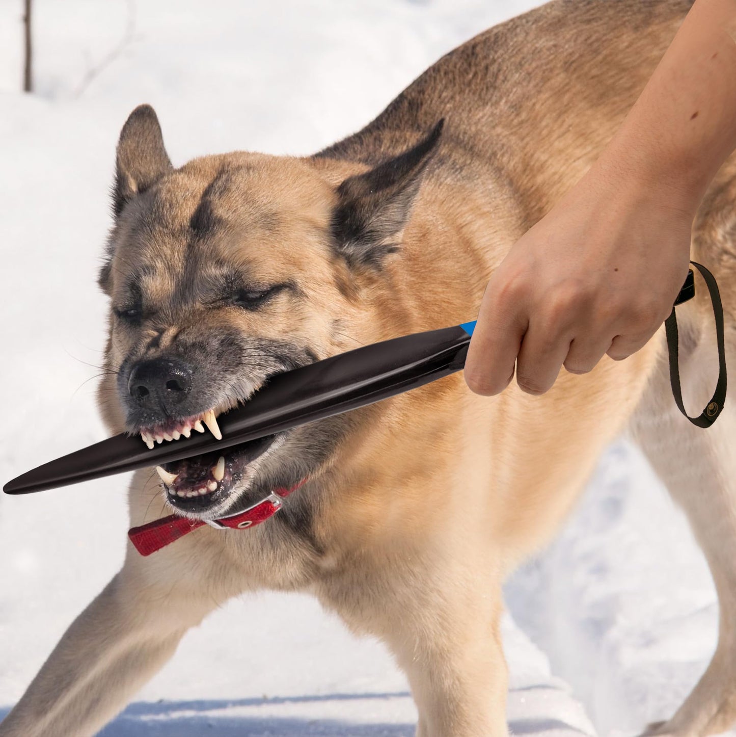 Palos Profesionales para Perros Grandes sin Mordeduras para Entrenamiento K9