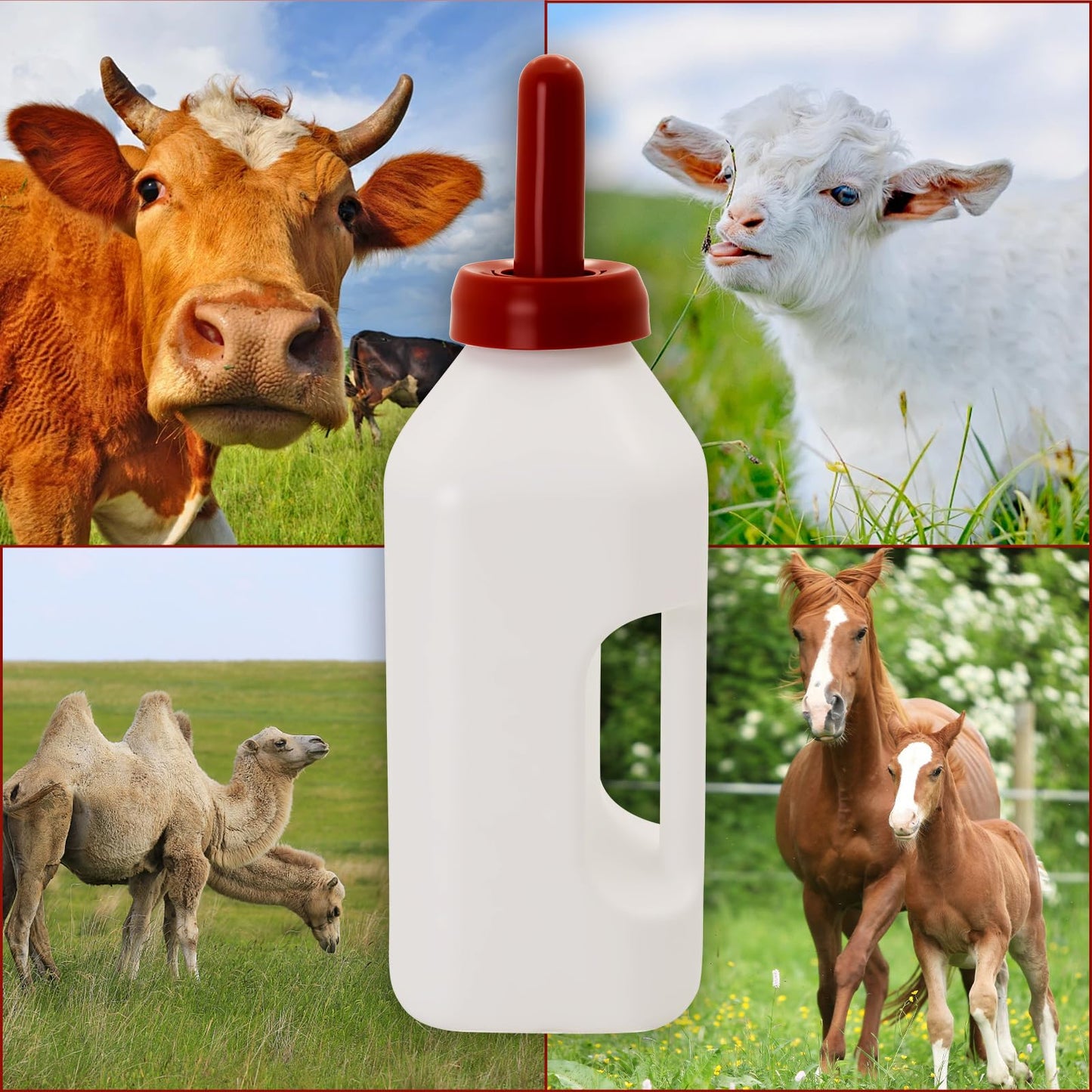 USUNFARM Biberón de 2 cuartos para terneros con tetina de repuesto, biberón con asa para alimentar a cabritos. Equipo para granja de terneros.