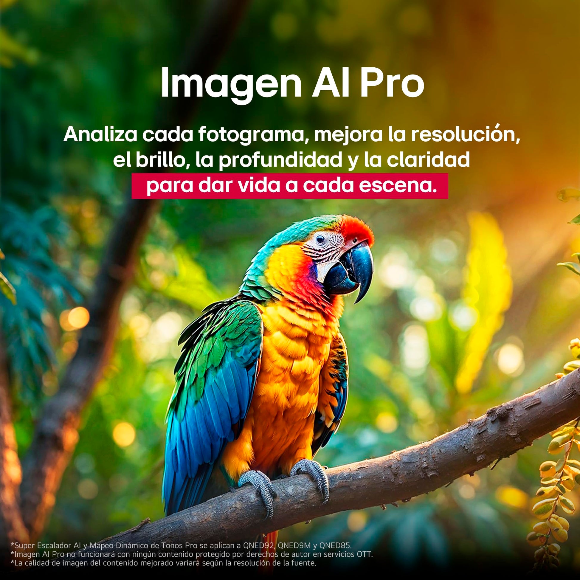 LG Pantalla 55 Pulgadas QNED EVO AI QNED85 4K Smart TV webOS 2025 55QNED85ASG |Sistema Operativo webOS | Identificación de Voz AI | 120Hz| Dynamic QNED Color | Dolby Atmos Channels | FreeSync
