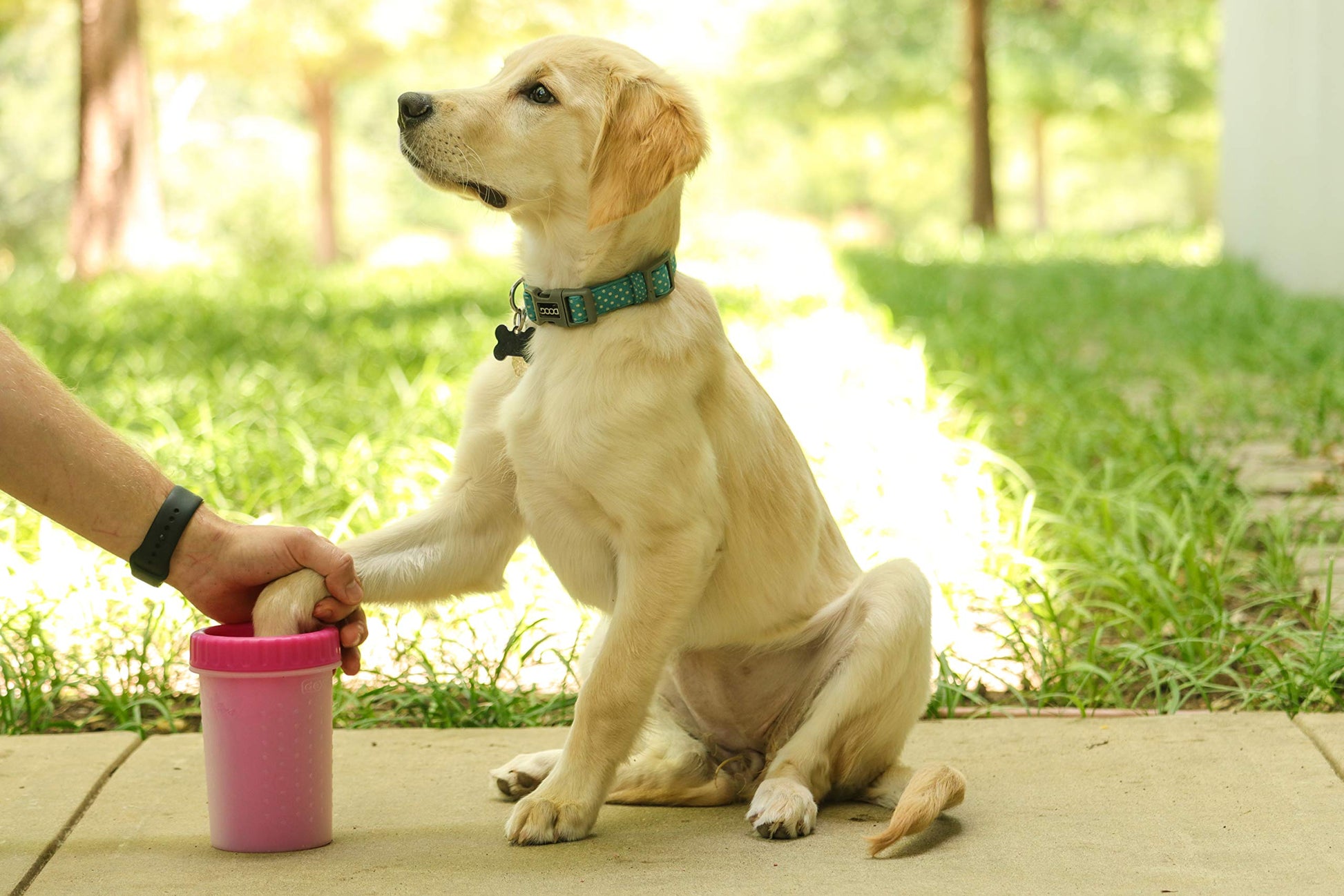 Dexas MudBuster Limpiador portátil para patas de perro, Rosado, Mediano