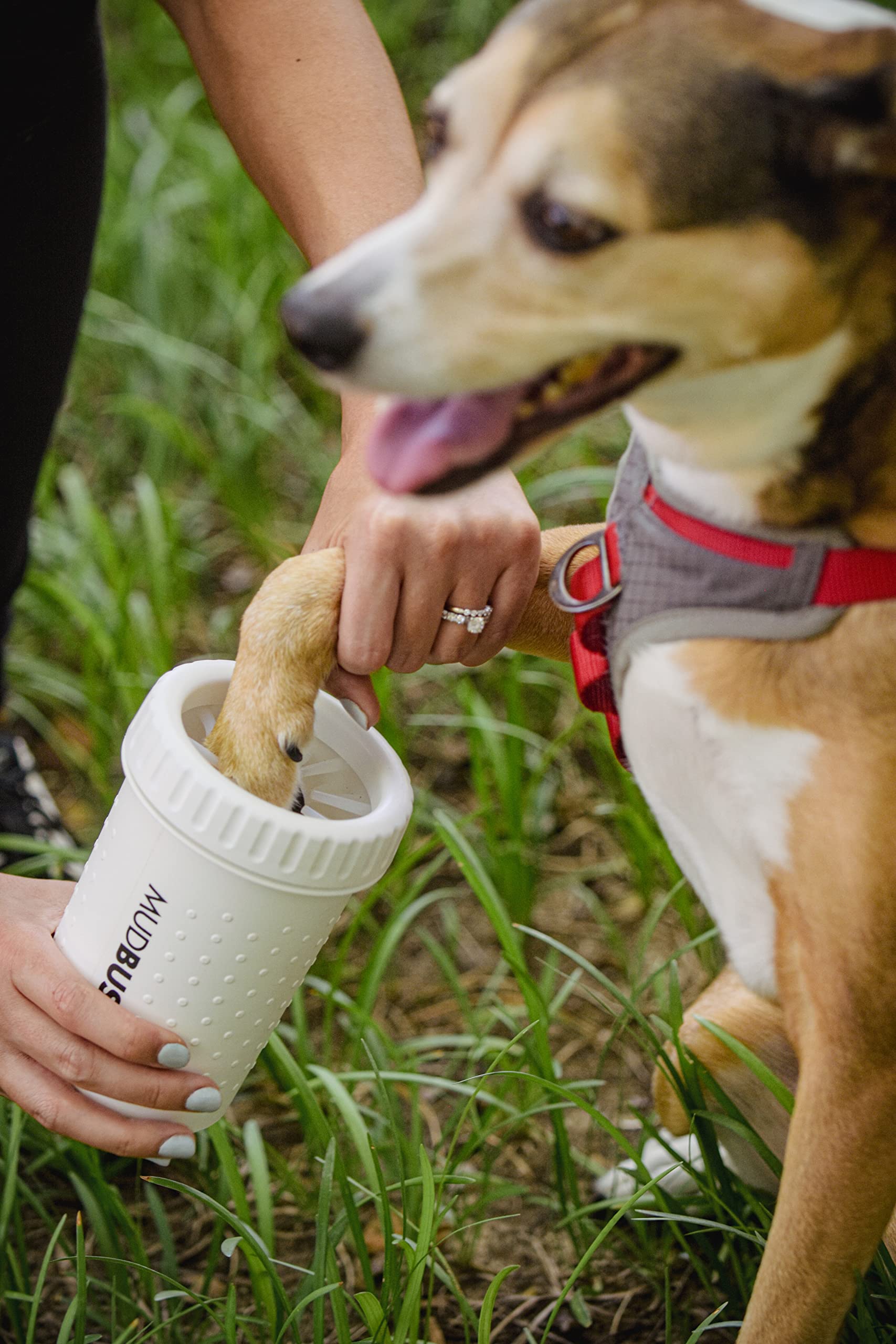 Dexas MudBuster - Limpiador portátil para Patas de Perro, Mediano, Blanco Brillante, edición Especial