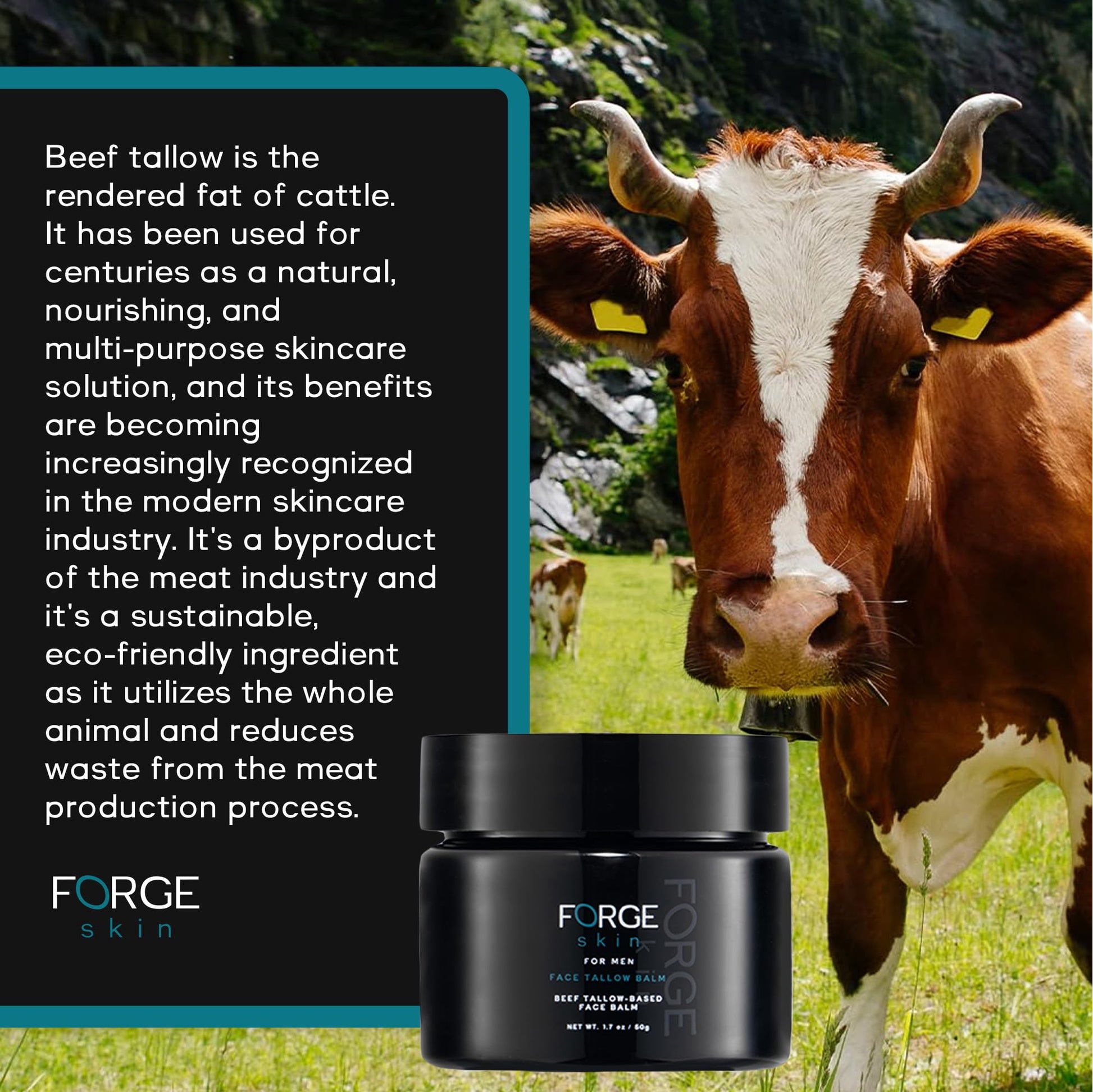 Bálsamo de sebo antiarrugas Forge Men's - 1,77 oz | Crema facial antienvejecimiento - Hidratante facial para arrugas, ojeras y líneas finas | Crema hidratante de día y de noche para hombres