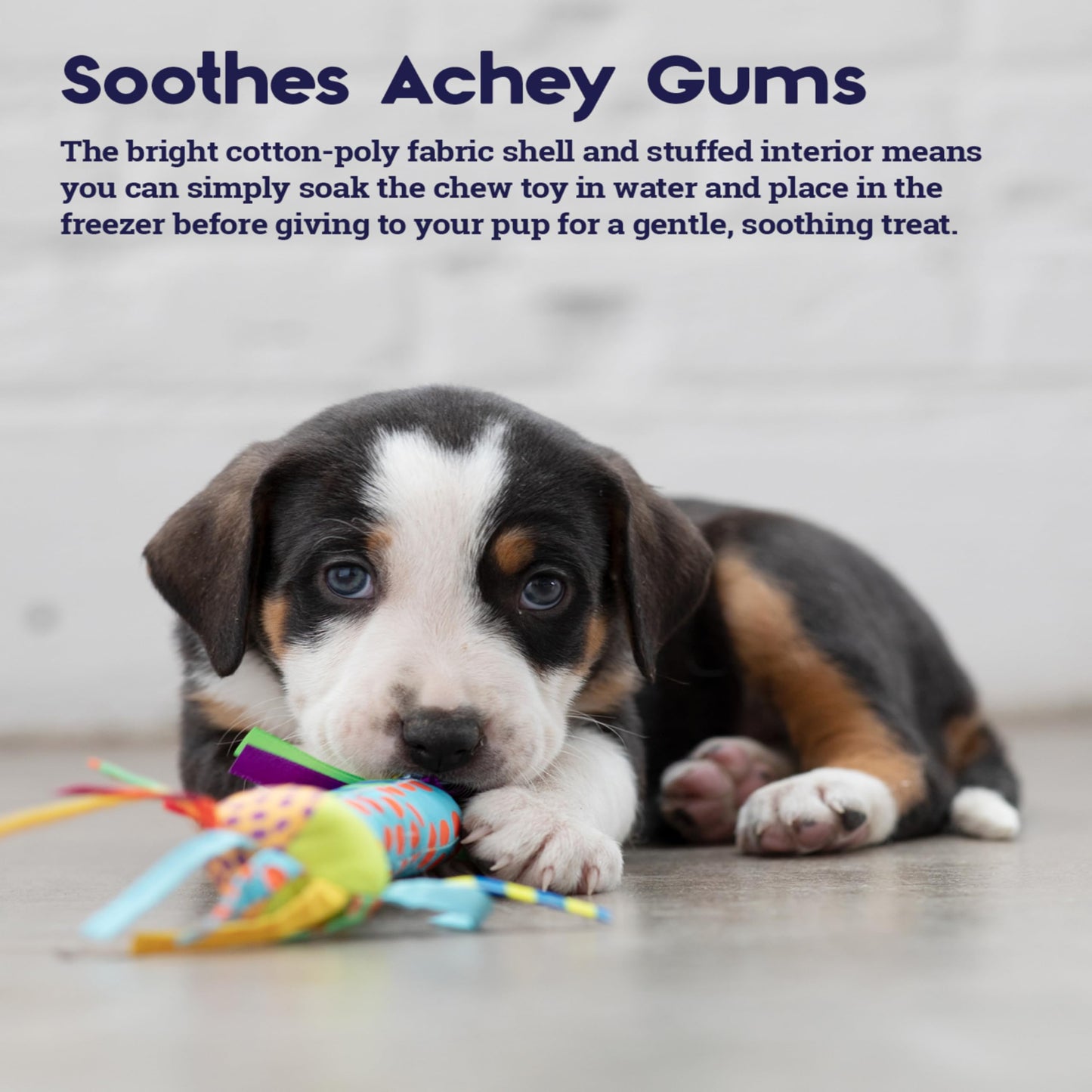 Juguete para Perros Pet Stages Azul Cool Teething Stick