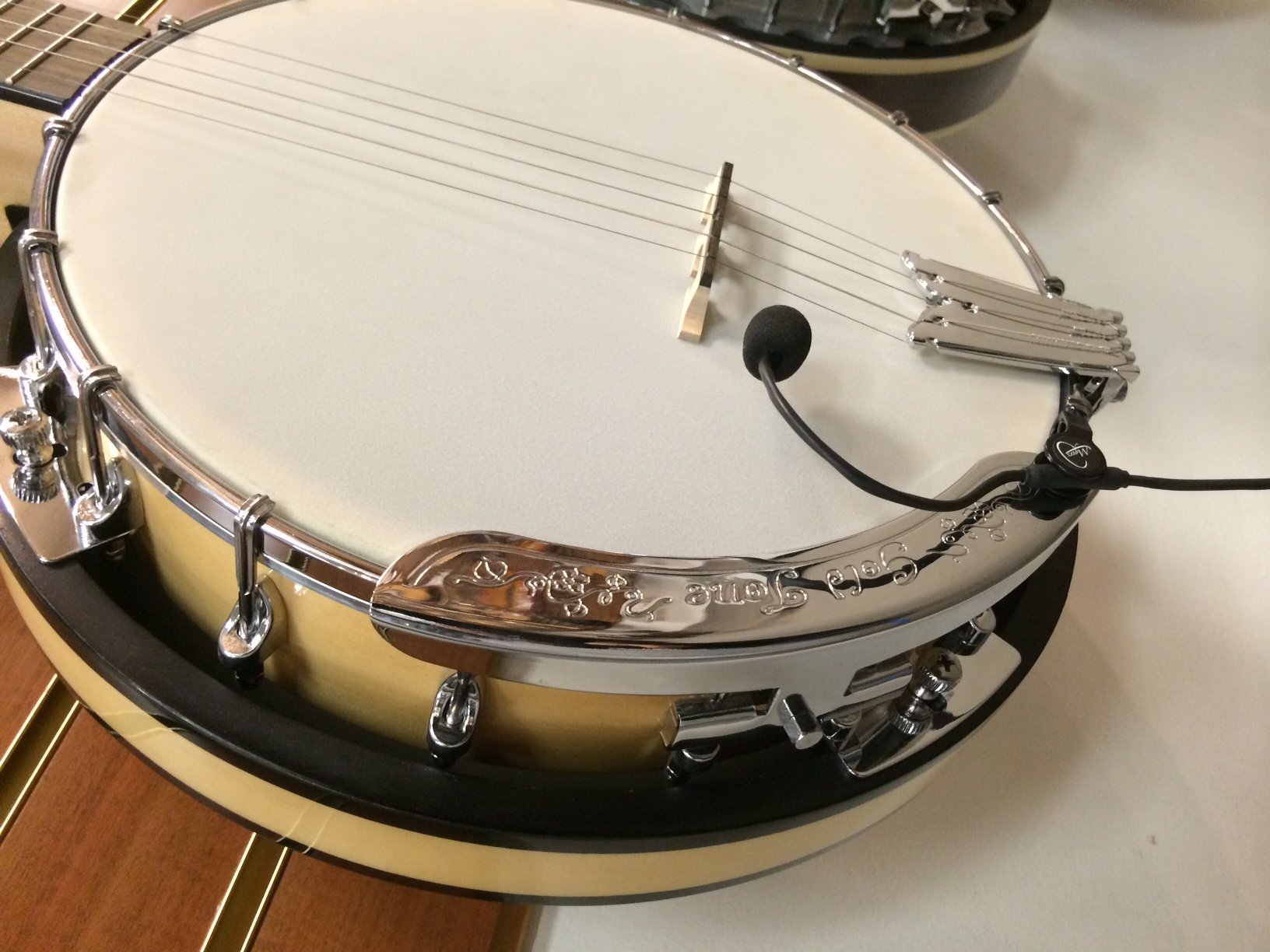 Pickup para Banjo Myers Pickups Plata con Micro-Gooseneck Flexible