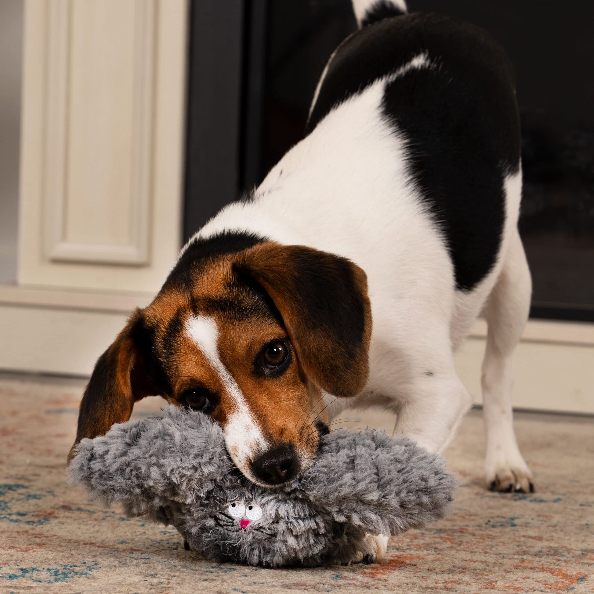goDog PlayClean - Juguete de Peluche chirriante para Perro con aceites Esenciales Que eliminan el Olor, tecnología de protección para Masticar, Gris, pequeño