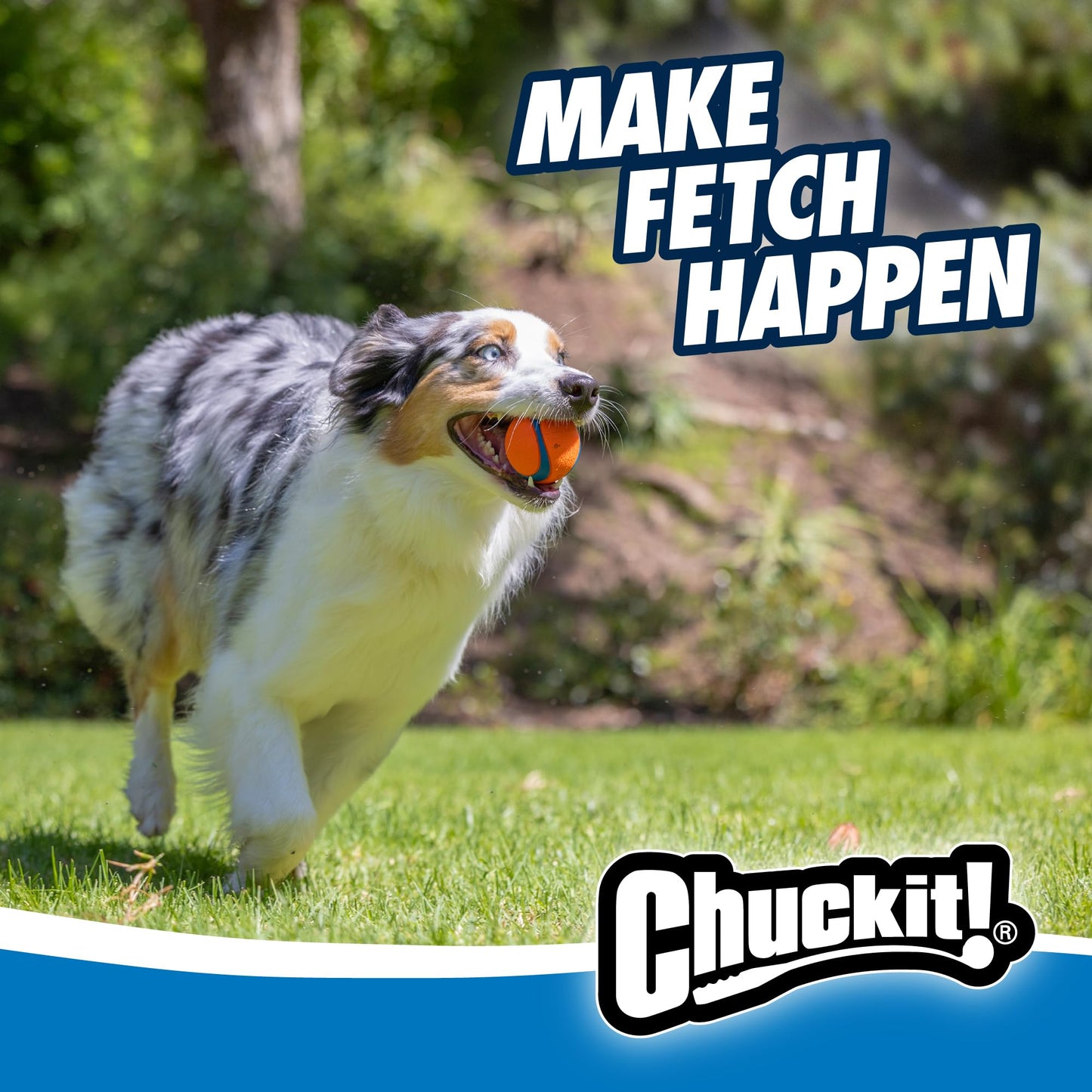 Chuckit! Fetch Medley - Pelotas de Golf (3 Unidades), Multicolor, Medium, 2.5-Inch, 3-Pack