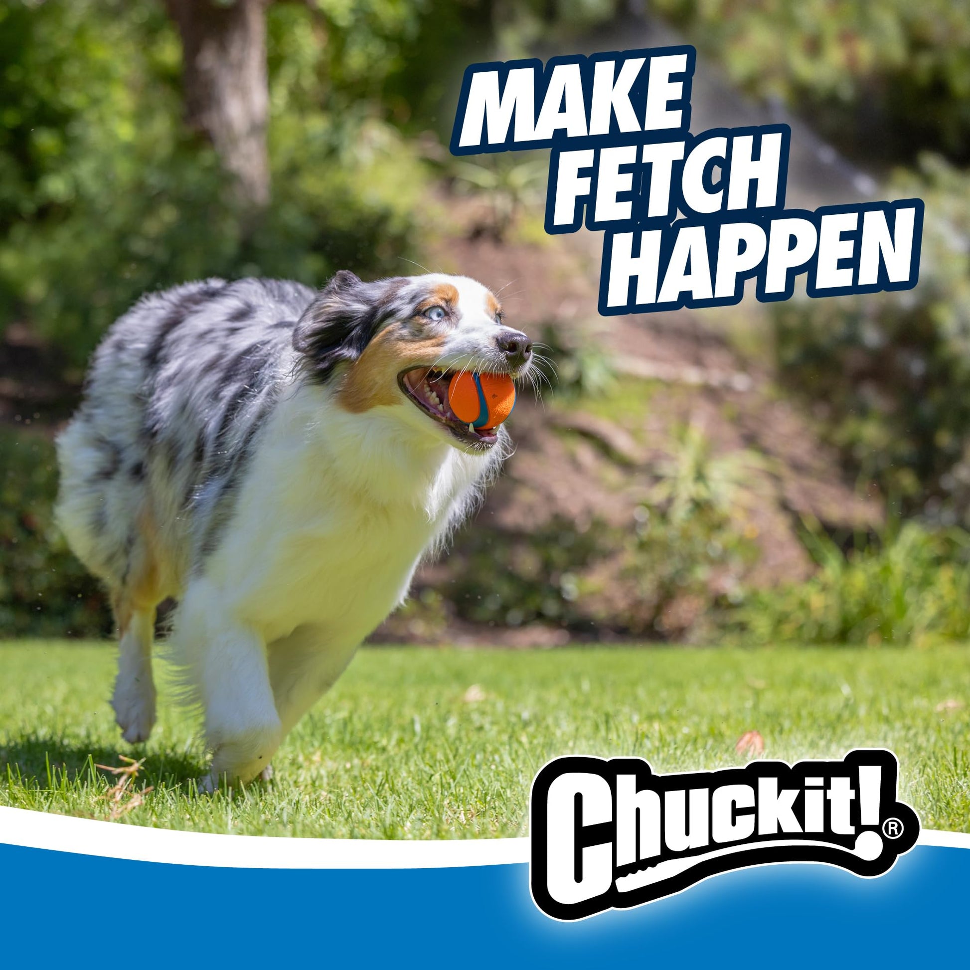 Chuckit! Fetch Medley - Pelotas de Golf (3 Unidades), Multicolor, Medium, 2.5-Inch, 3-Pack