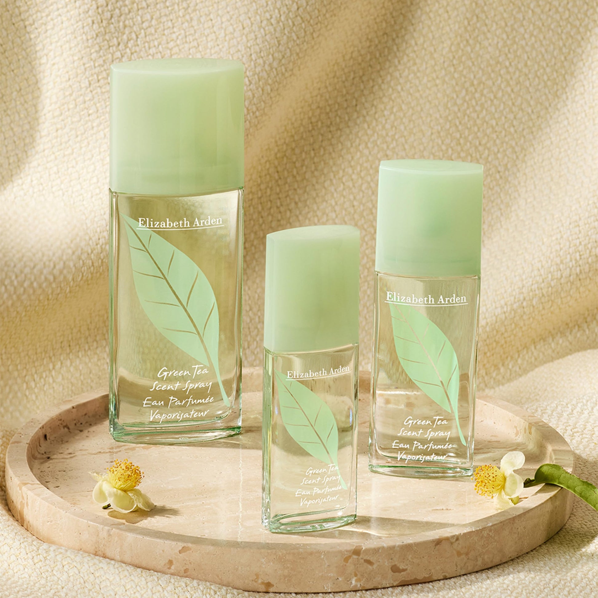 Green Tea by Elizabeth Arden for Women - 3.4 oz Scent Spray