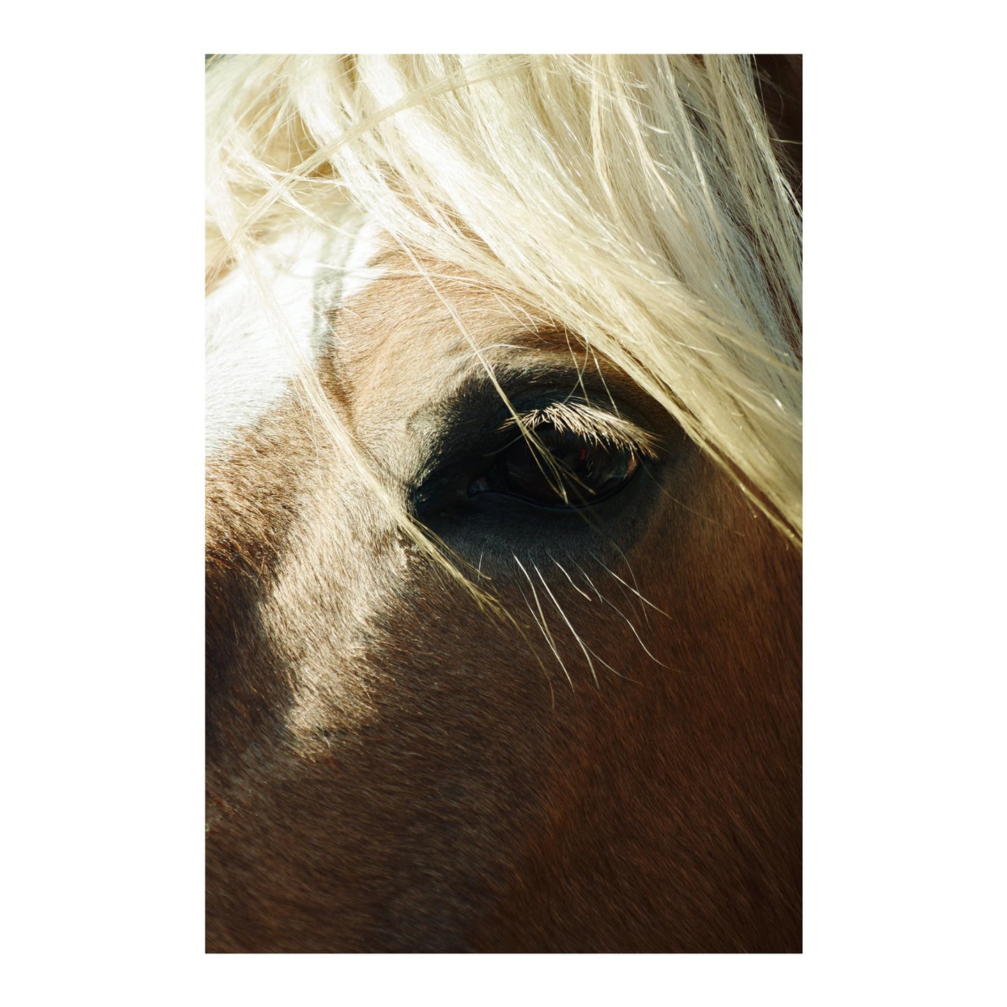 Lente Zoom Sigma 16-300 mm Contemporáneo 3.5-6.7 DC OS