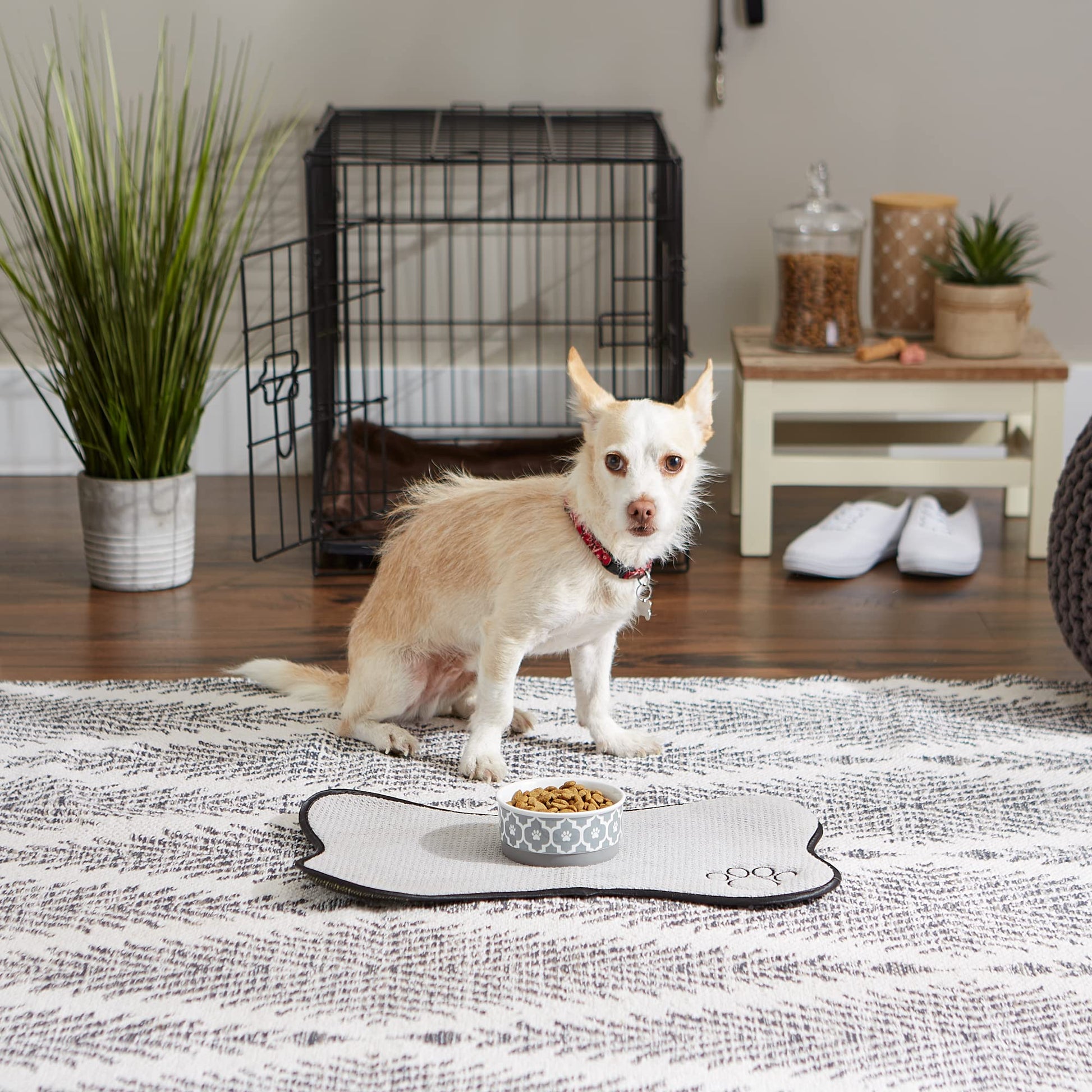 DII Bone Dry Lattice Ceramic Small Pet Bowl For Food & Water, 4.25" Dia x 2"H, With Non-Skid Silicone Rim for Dogs and Cats-Gray