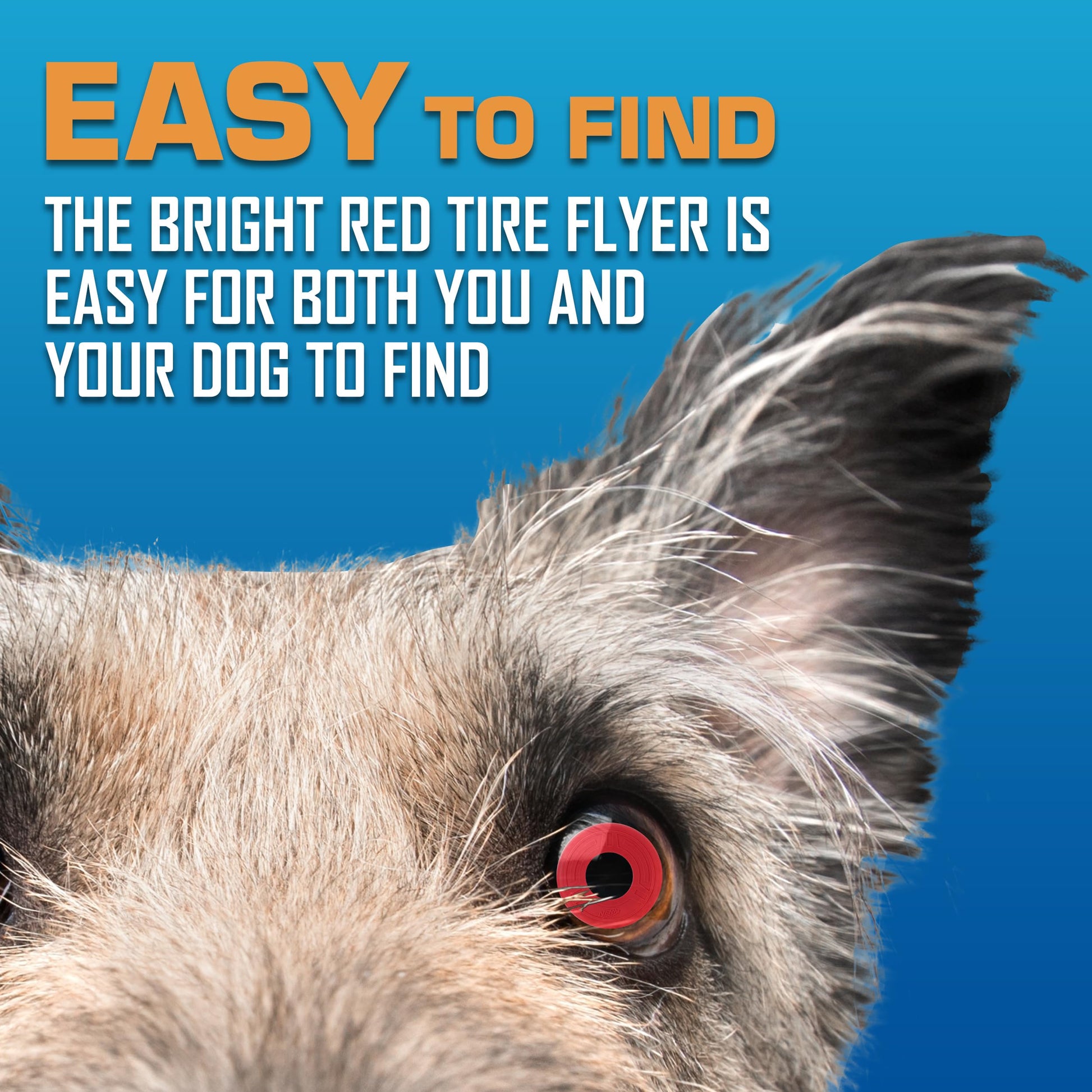 Juguete para Perro Nerf Flyer para Perro, Frisbee, Ligero, Duradero y Resistente al Agua, Ideal para Playa y Piscina, 10 Pulgadas de diámetro, para Razas Medianas/Grandes, Rojo, One-Size-for-Most