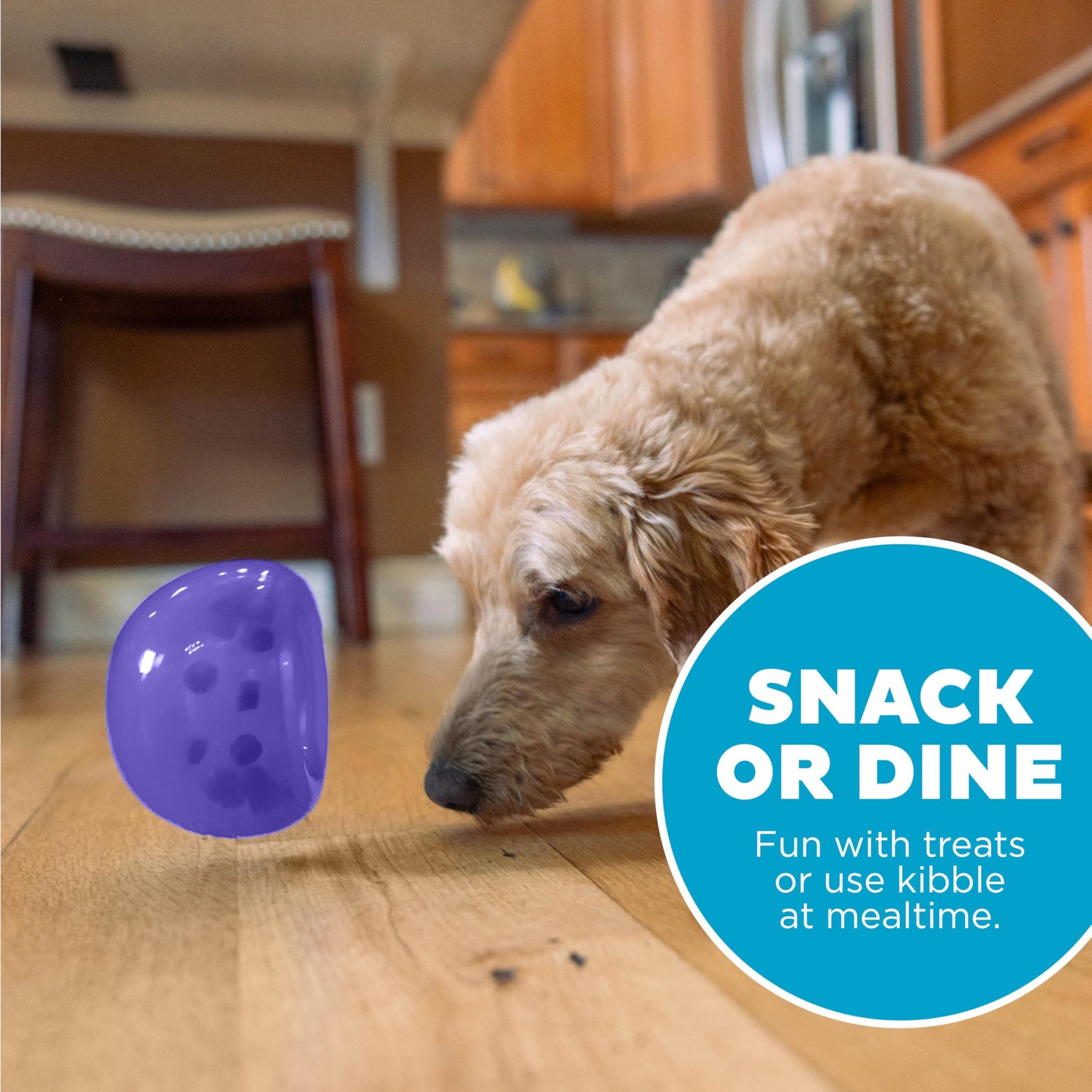 Juguete Interactivo Planet Dog Orbee-Tuff Lil' Snoop Morado dispensador de golosinas para Perro Pequeño