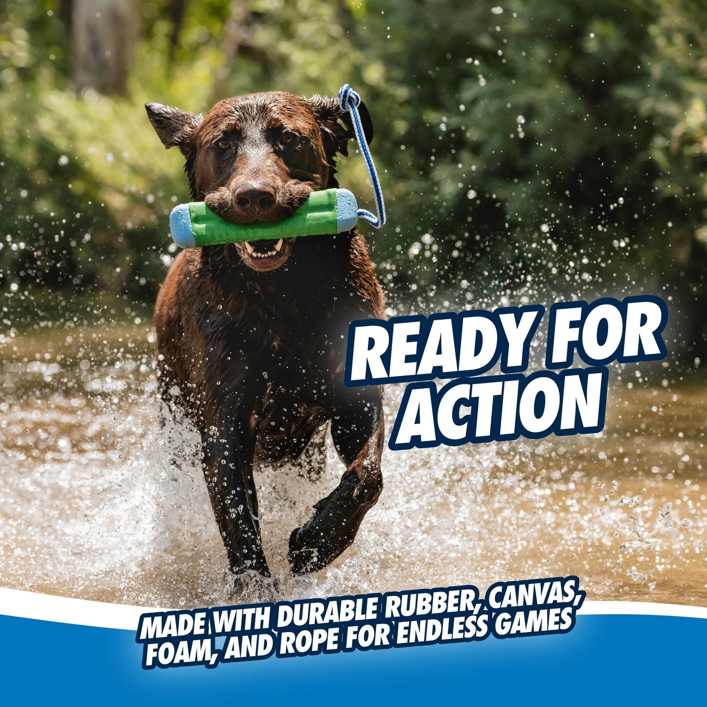 Chuckit! Amphibious Bumper Fetch and Float Juguete para Perro, Mediano (los Colores varían)