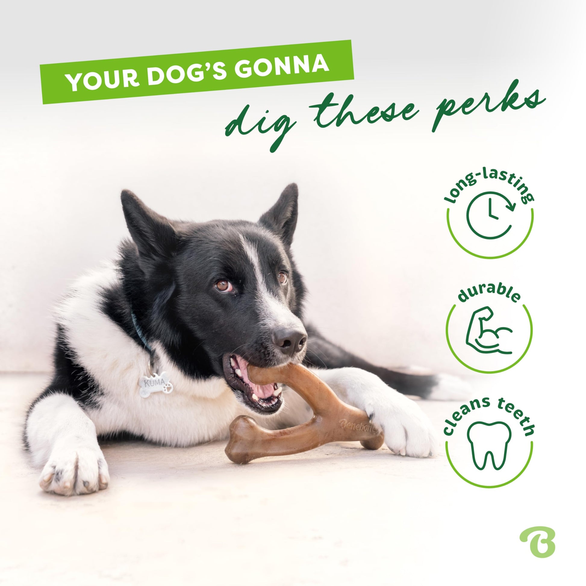 Benebone Bacon Flavored Wishbone Chew Toy