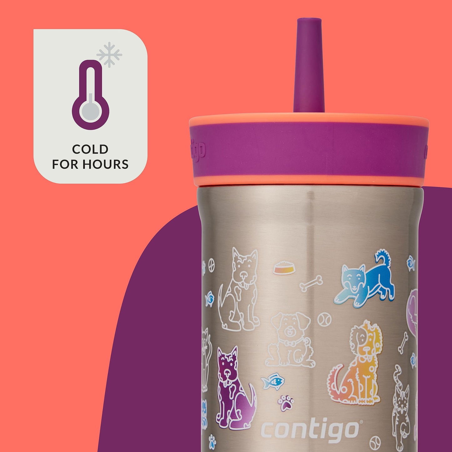 Contigo Leighton Vaccum-Insulated Kids Water Bottle with Spill-Proof Lid and Straw, 12oz Stainless Steel Water Bottle with Straw for Kids, Keeps Drinks Cold up to 13 Hours, Coral/Grape