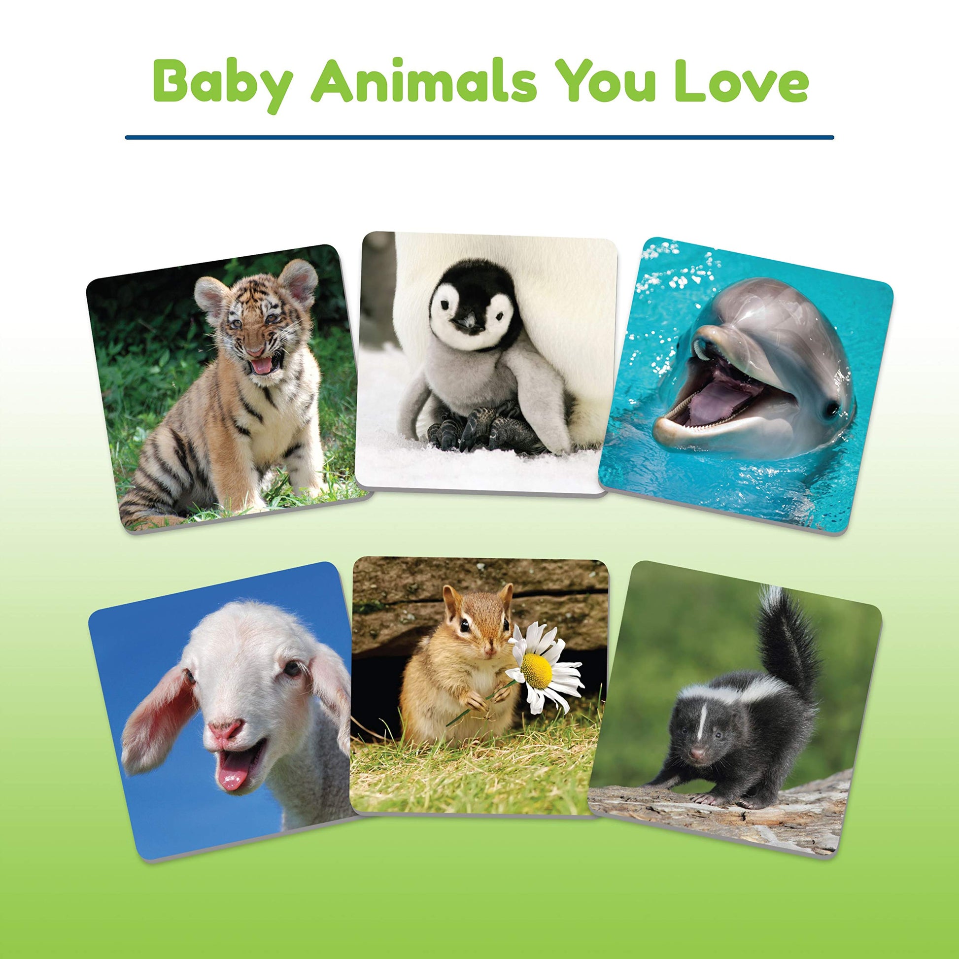 Juego de Refuerzo de Memoria Wonder Forge Baby Animals Atractivo para Pascua