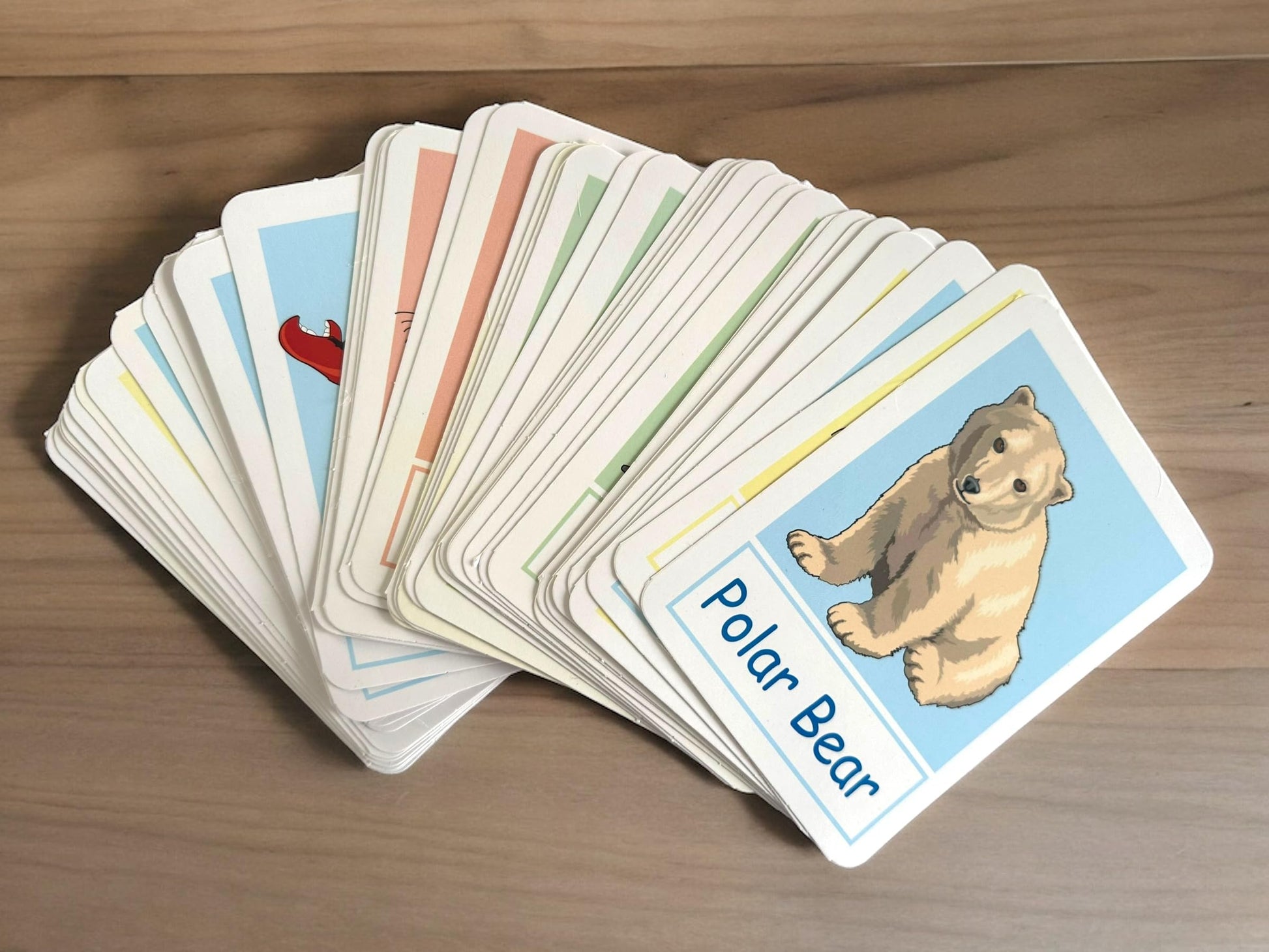 Juego de Lotería Didáctica Teach Play en Inglés de Animales para Niños y Adolescentes