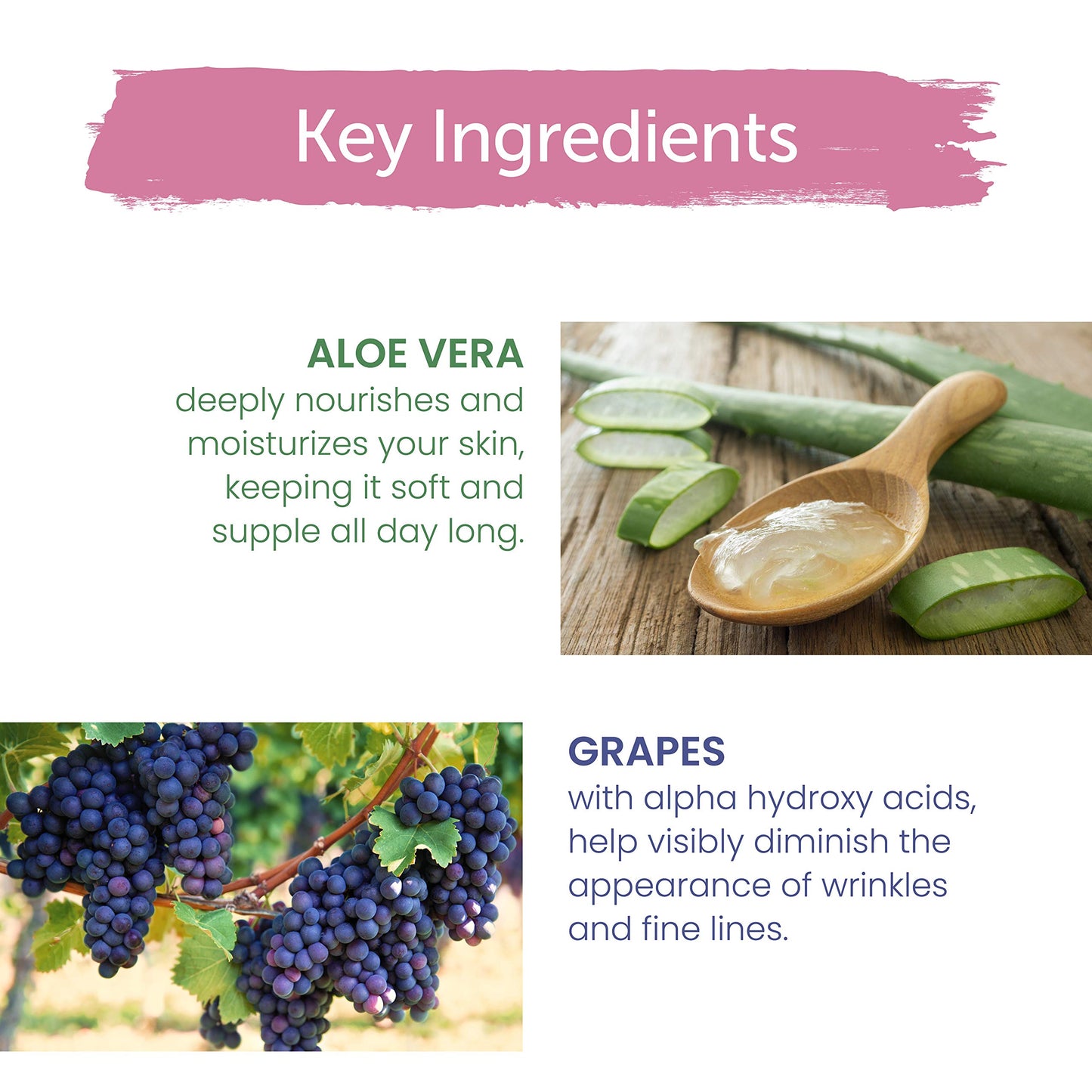 Crema anti-arrugas con Aloe vera y extracto de Uva, 1.69Oz/50ml