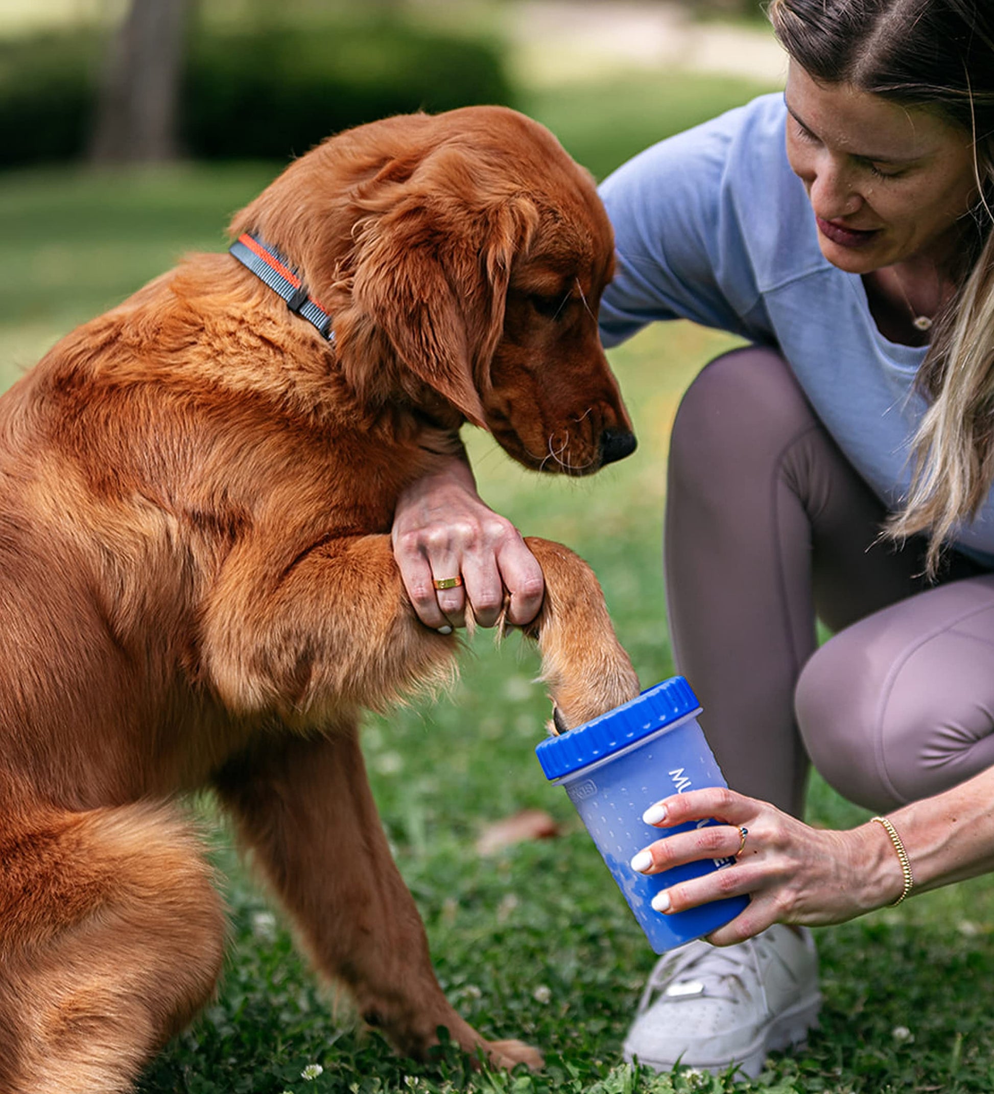 Dexas MudBuster - Lavadora portátil para Patas de Perro, tamaño Mediano, Color Azul Profesional