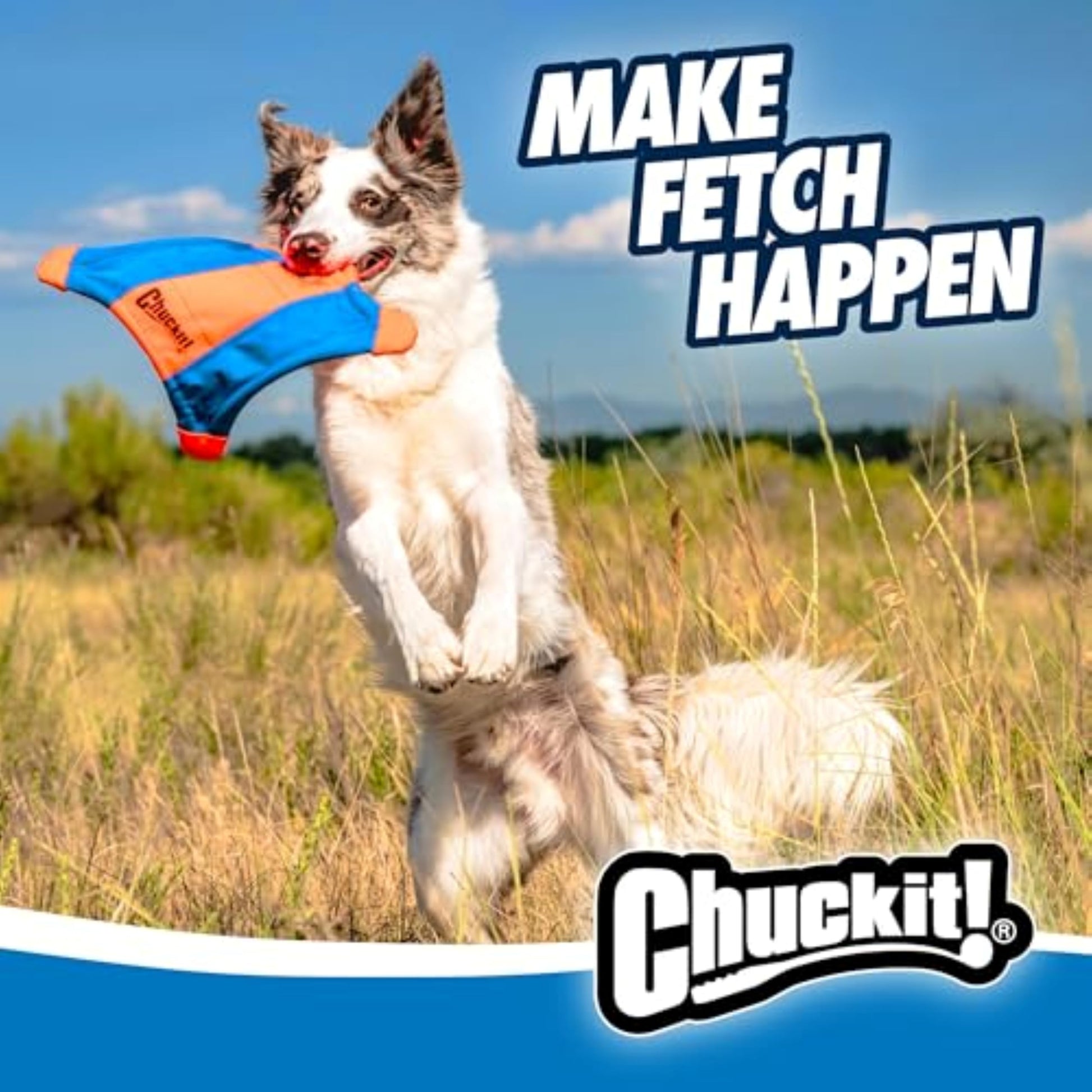 Chuckit! Flying Squirrel, Multicolor, Medium (10 in x 10 in)