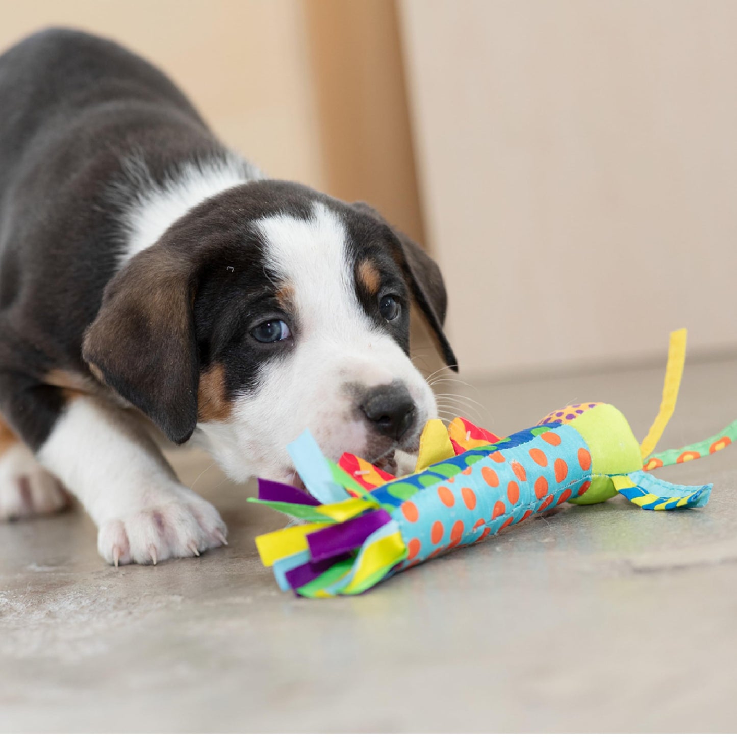 Juguete para Perros Pet Stages Azul Cool Teething Stick