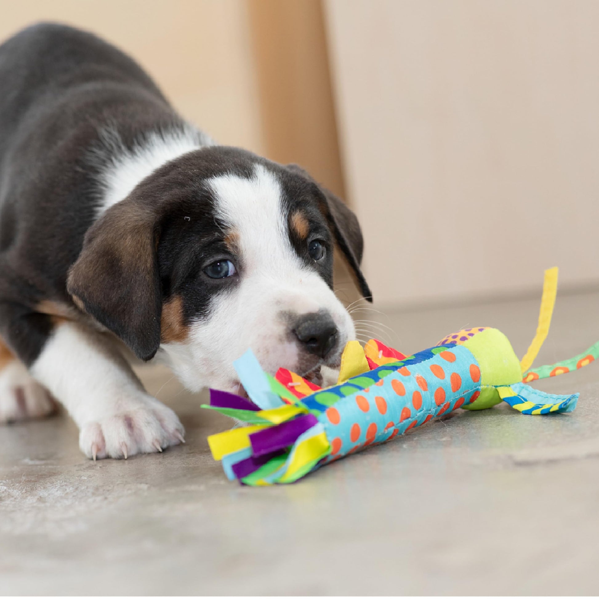 Juguete para Perros Pet Stages Azul Cool Teething Stick