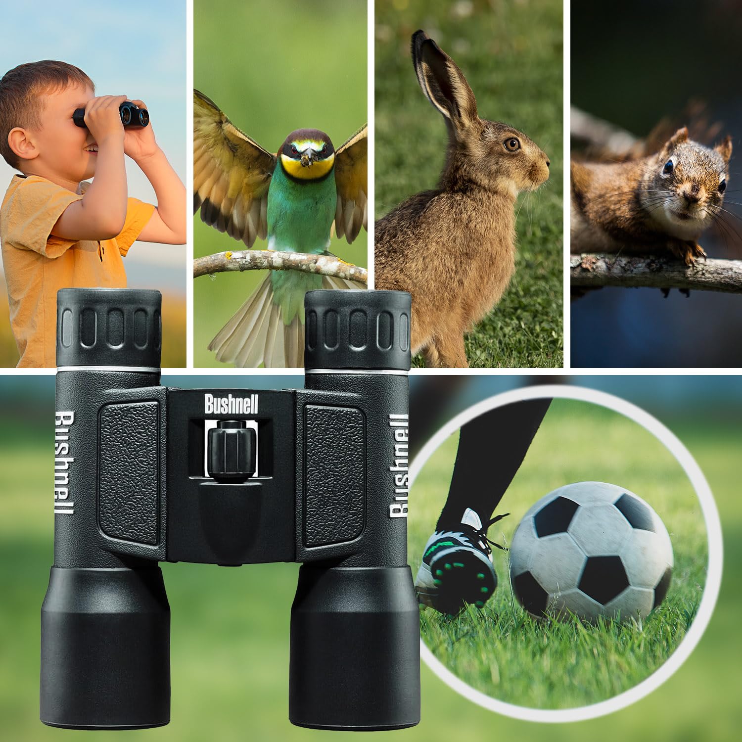 Bushnell | Binoculares Powerview Prisma Roof | 16x32 mm | Binocular Resistentes al Polvo y Salpicaduras | Negro