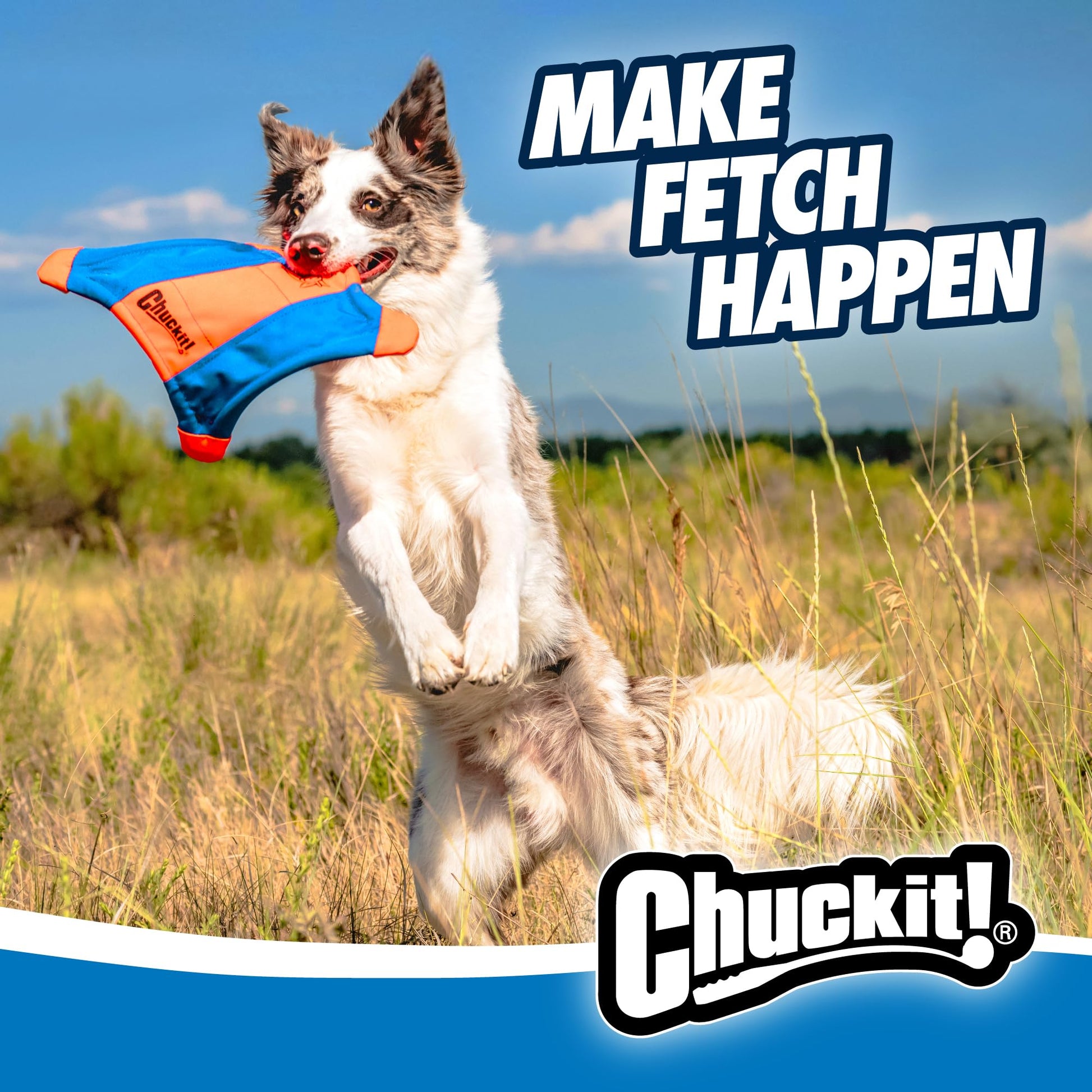 Chuckit. Flying Squirrel., Variados, Small (9 in x 9 in)